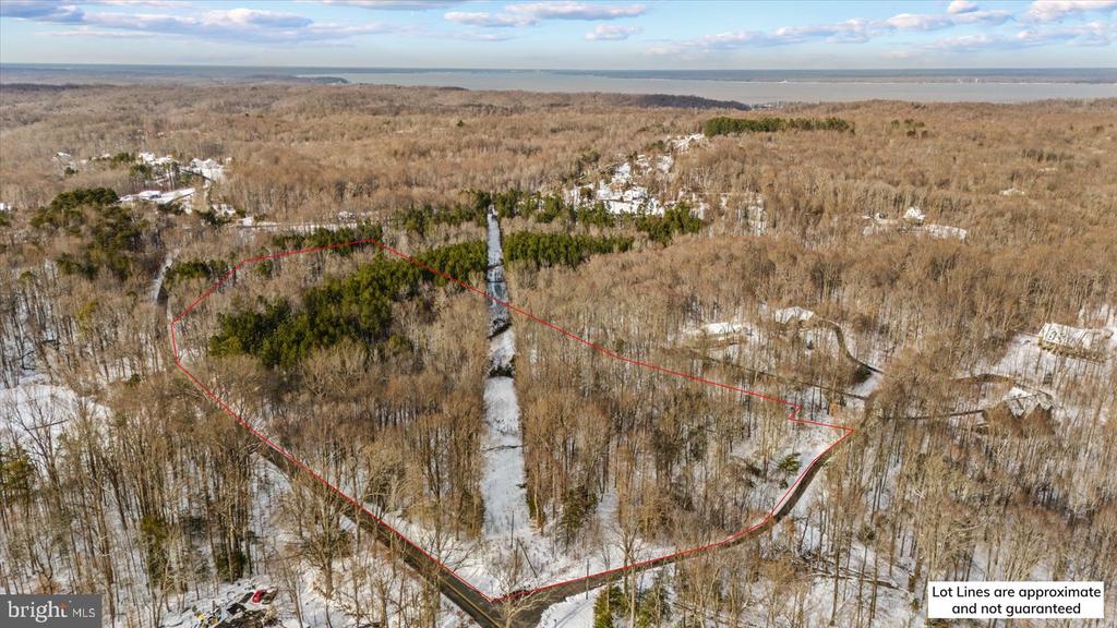 Aerial view of a wooded lot outlined in red, with snow-covered ground and a cleared strip through the center.