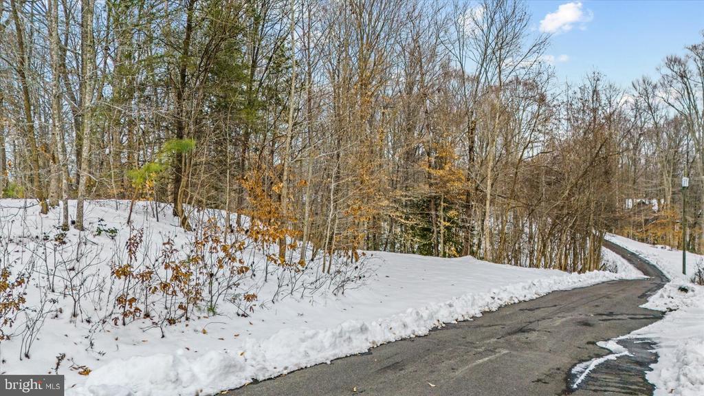 Wooded vacant lot covered in snow beside a curving paved road.