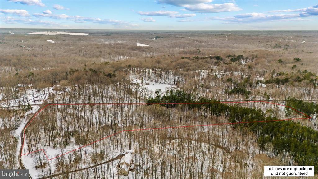 Aerial view of a snow-dusted wooded lot outlined in red, with a house and driveway near the lower edge.