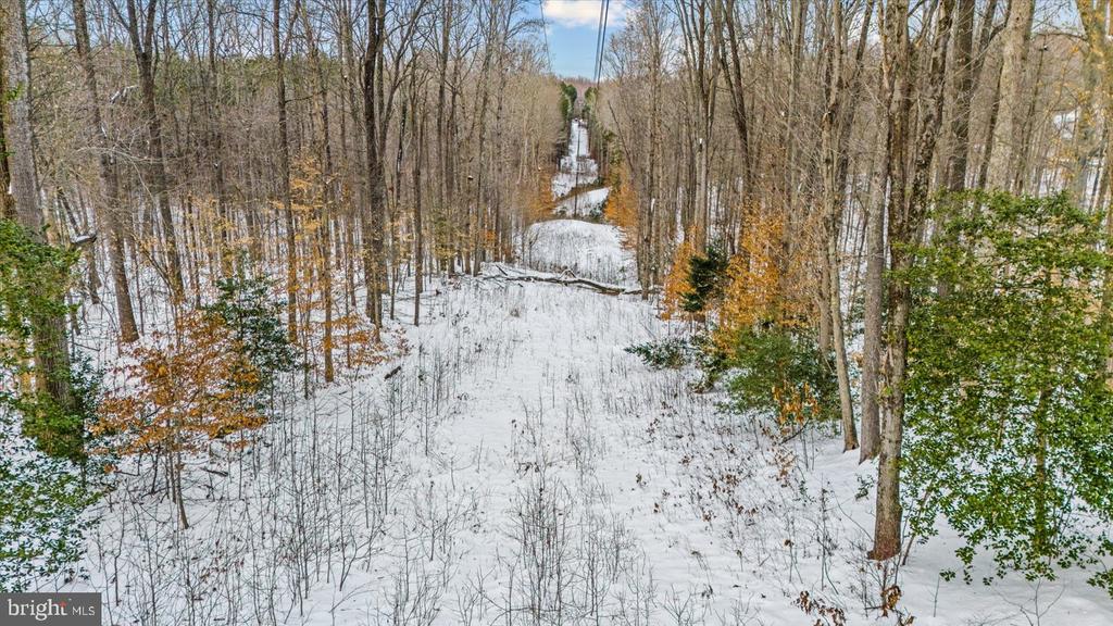 Snow-covered wooded lot with a cleared corridor running between leafless trees.