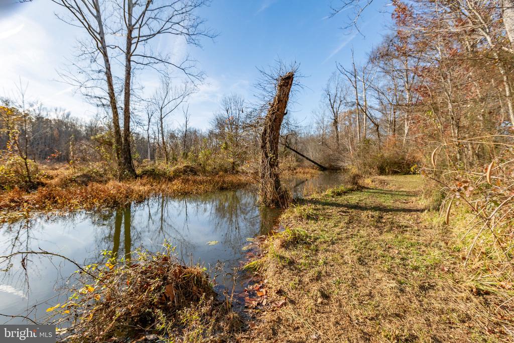 81 LEYLAND FARMS DRIVE