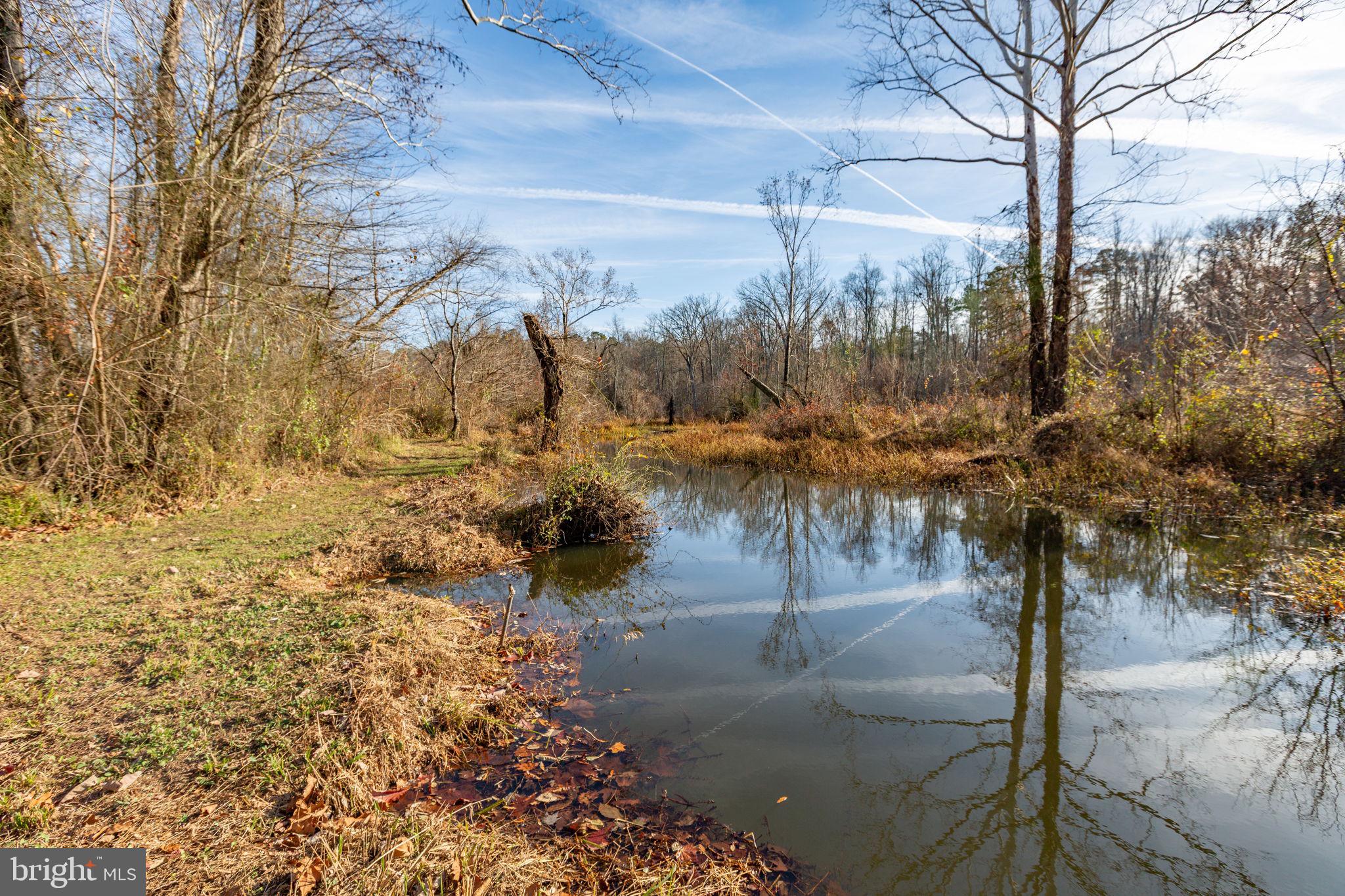 81 LEYLAND FARMS DRIVE