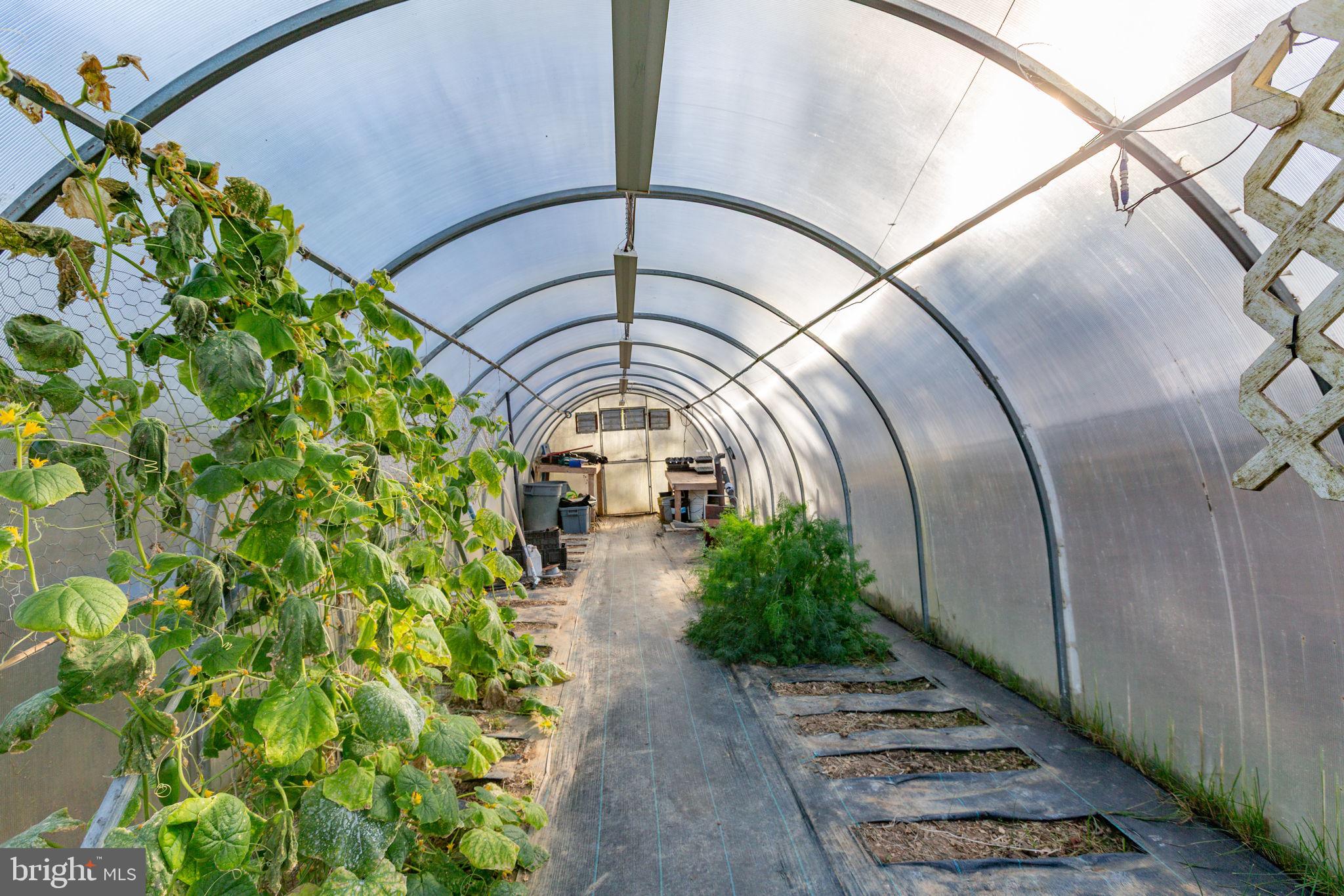 81 LEYLAND FARMS DRIVE