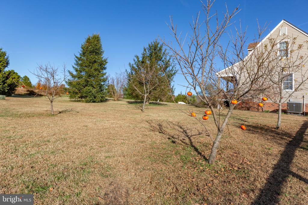 81 LEYLAND FARMS DRIVE