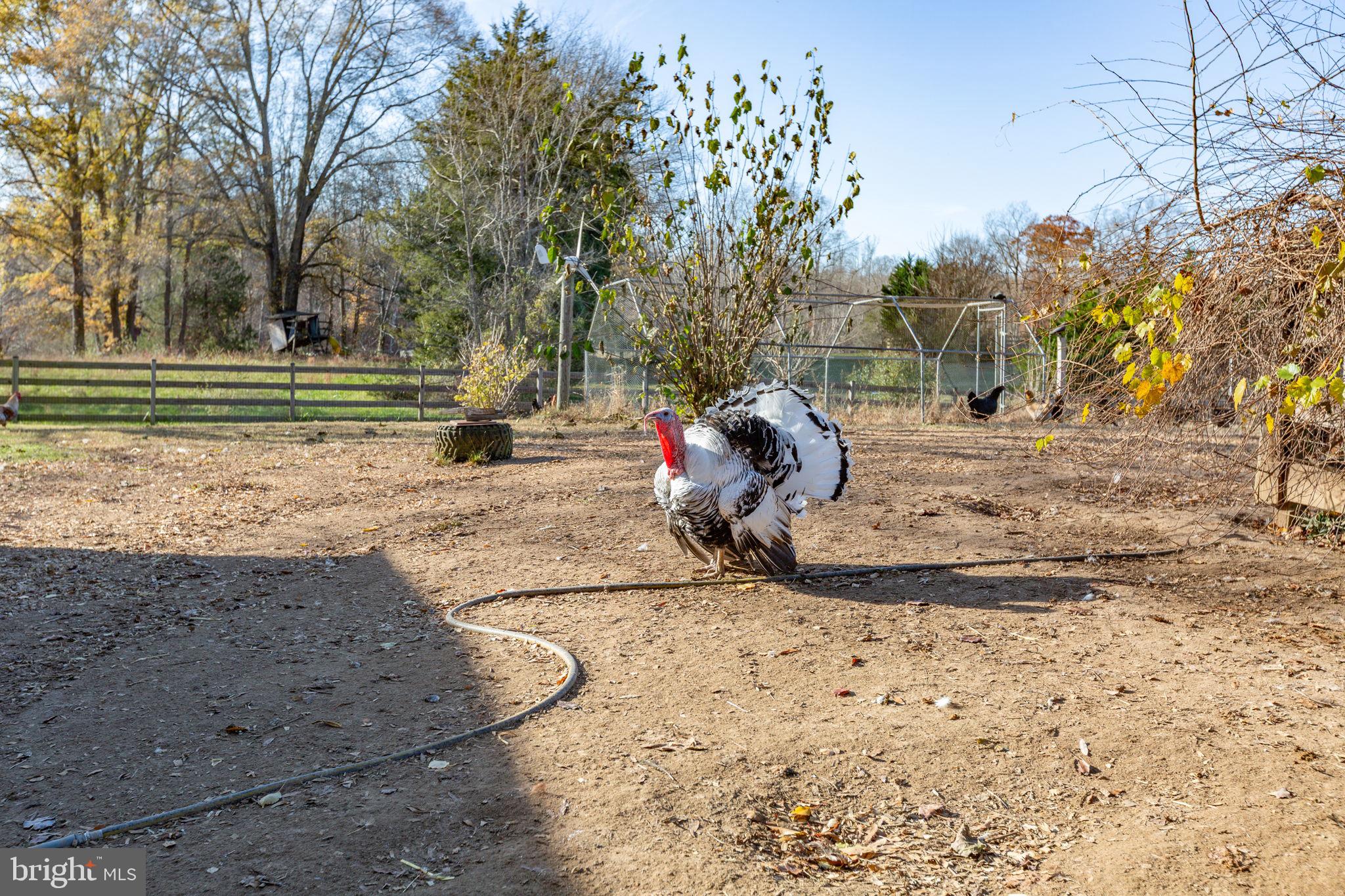 81 LEYLAND FARMS DRIVE