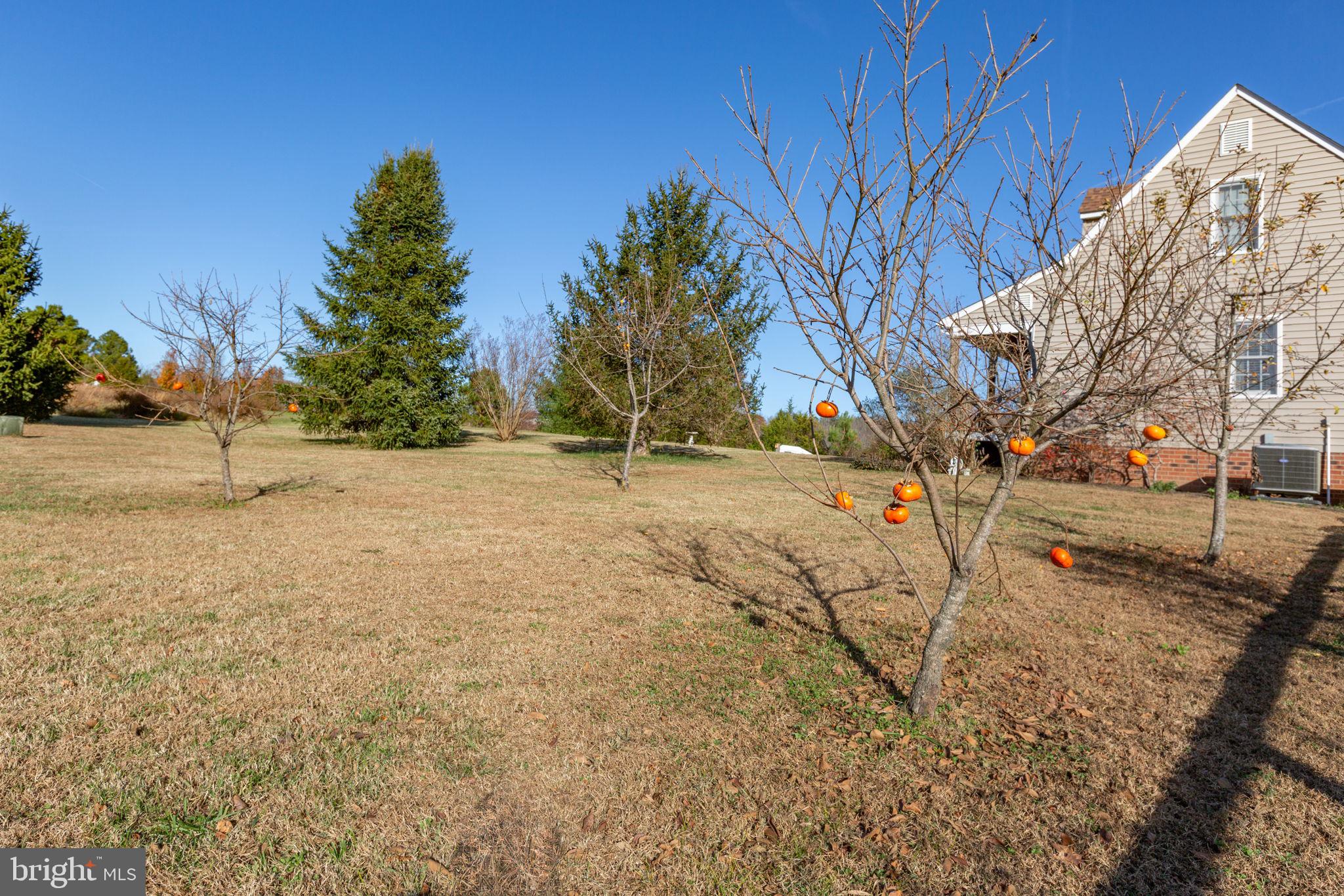 81 LEYLAND FARMS DRIVE