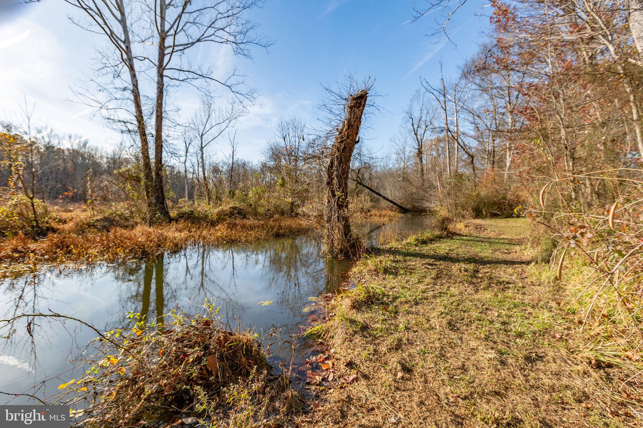 81 LEYLAND FARMS DRIVE