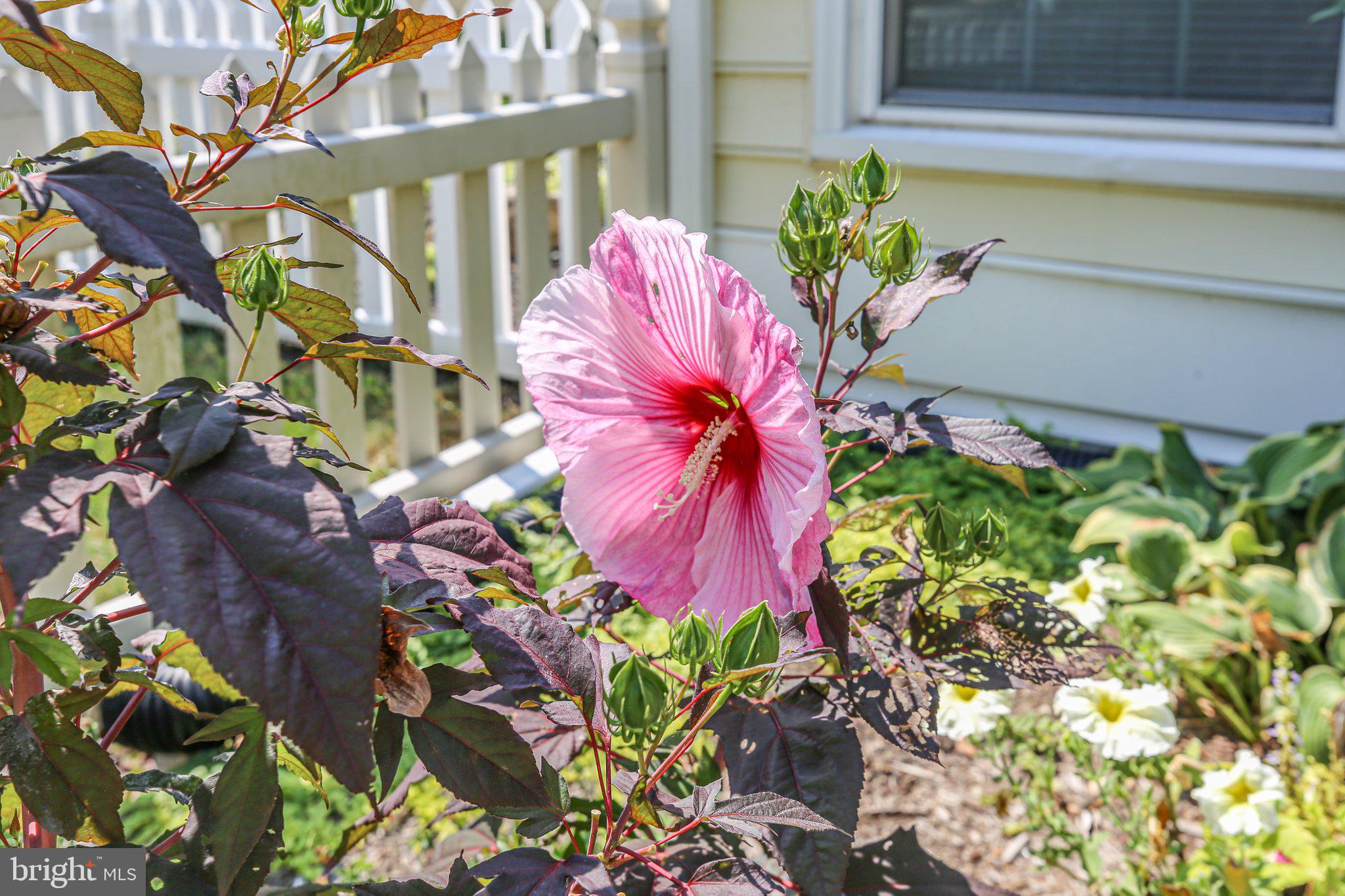 11517 STURBRIDGE COURT