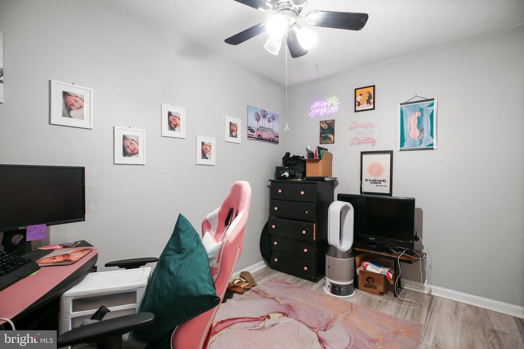 6009 COLLIER DRIVE