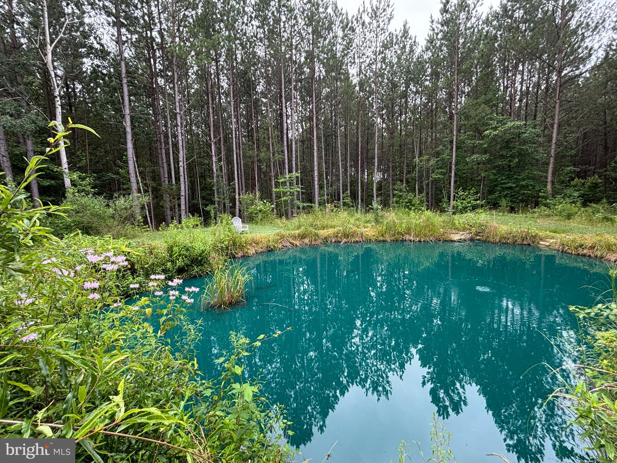 4909 DORCHESTER COURT