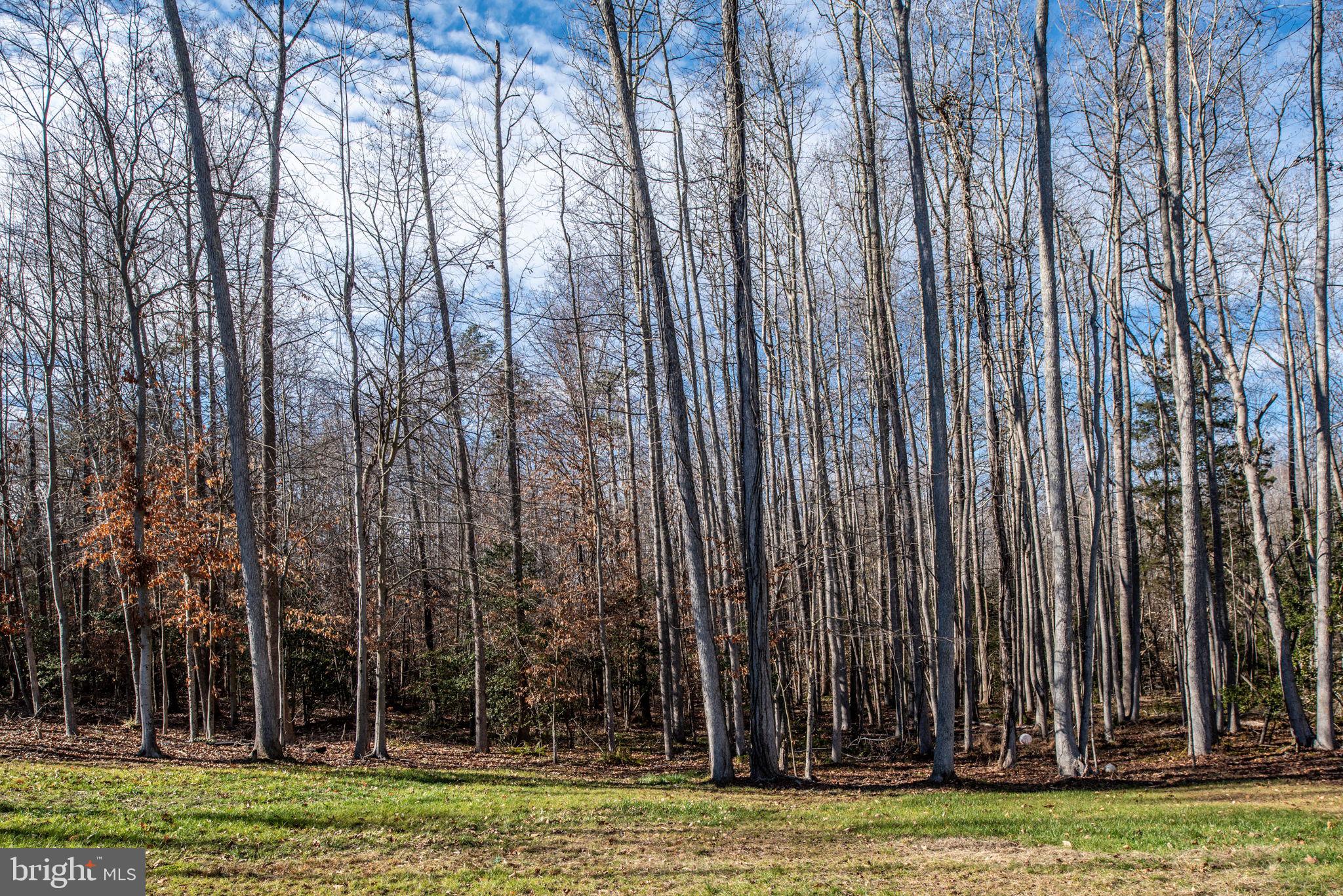 40 SOUTHERN VIEW DRIVE