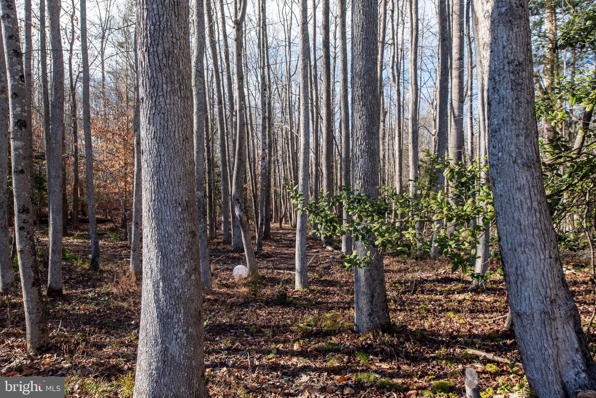 40 SOUTHERN VIEW DRIVE