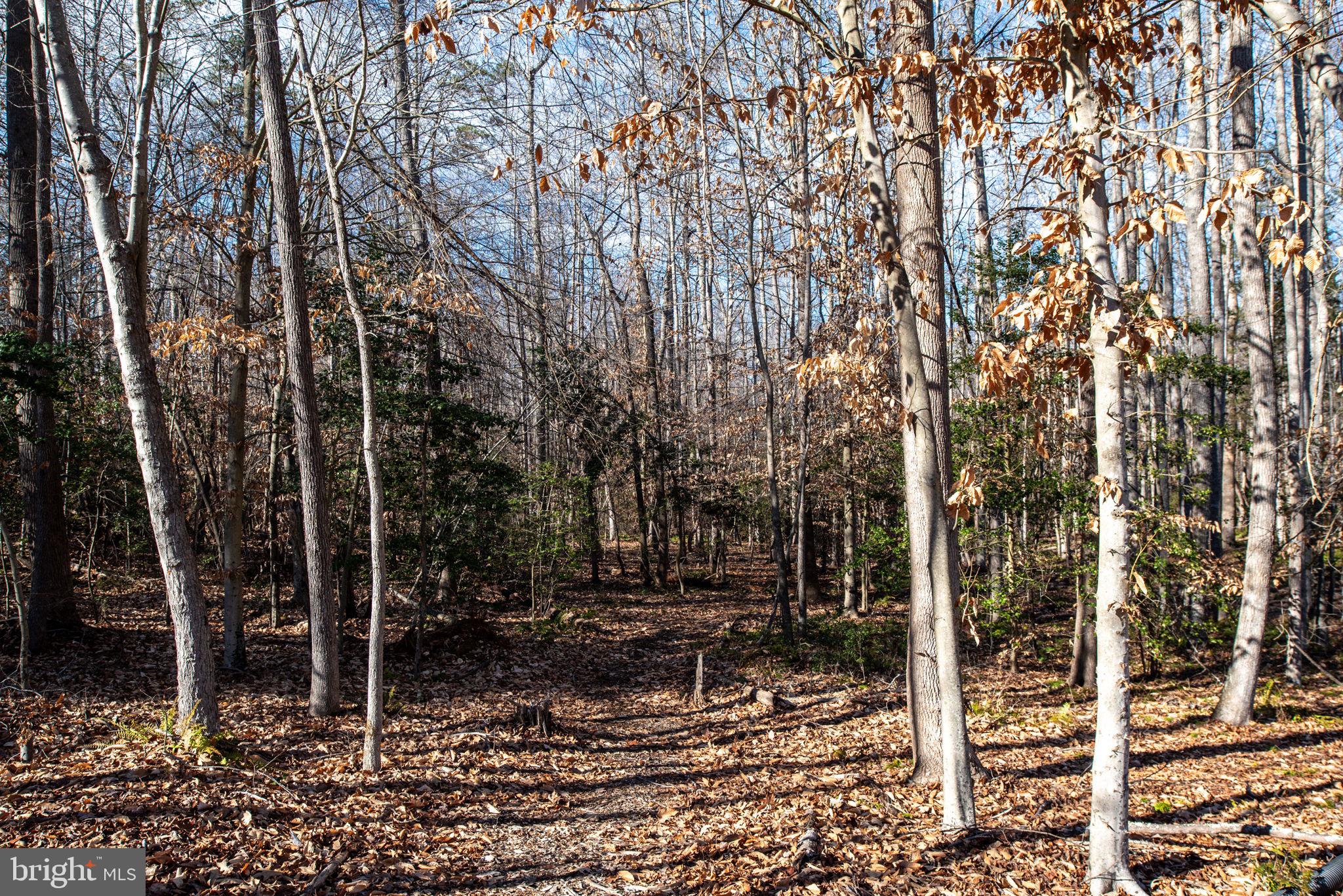 40 SOUTHERN VIEW DRIVE