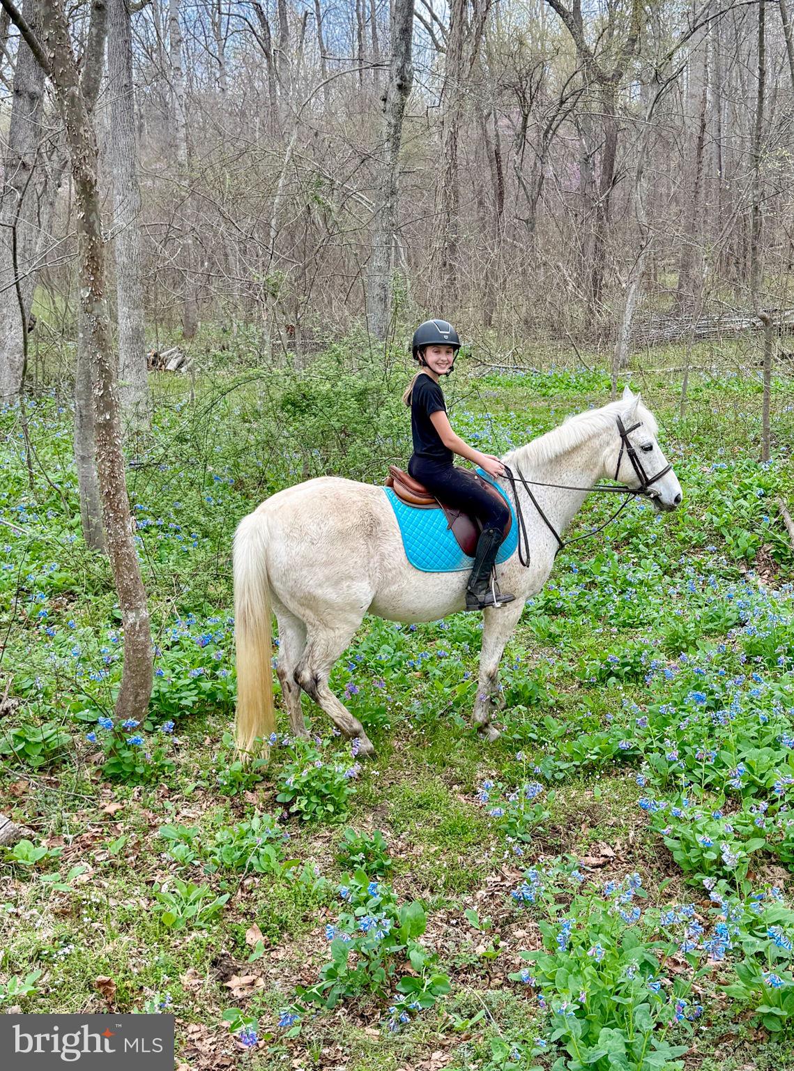 839 QUEEN ANNE DRIVE