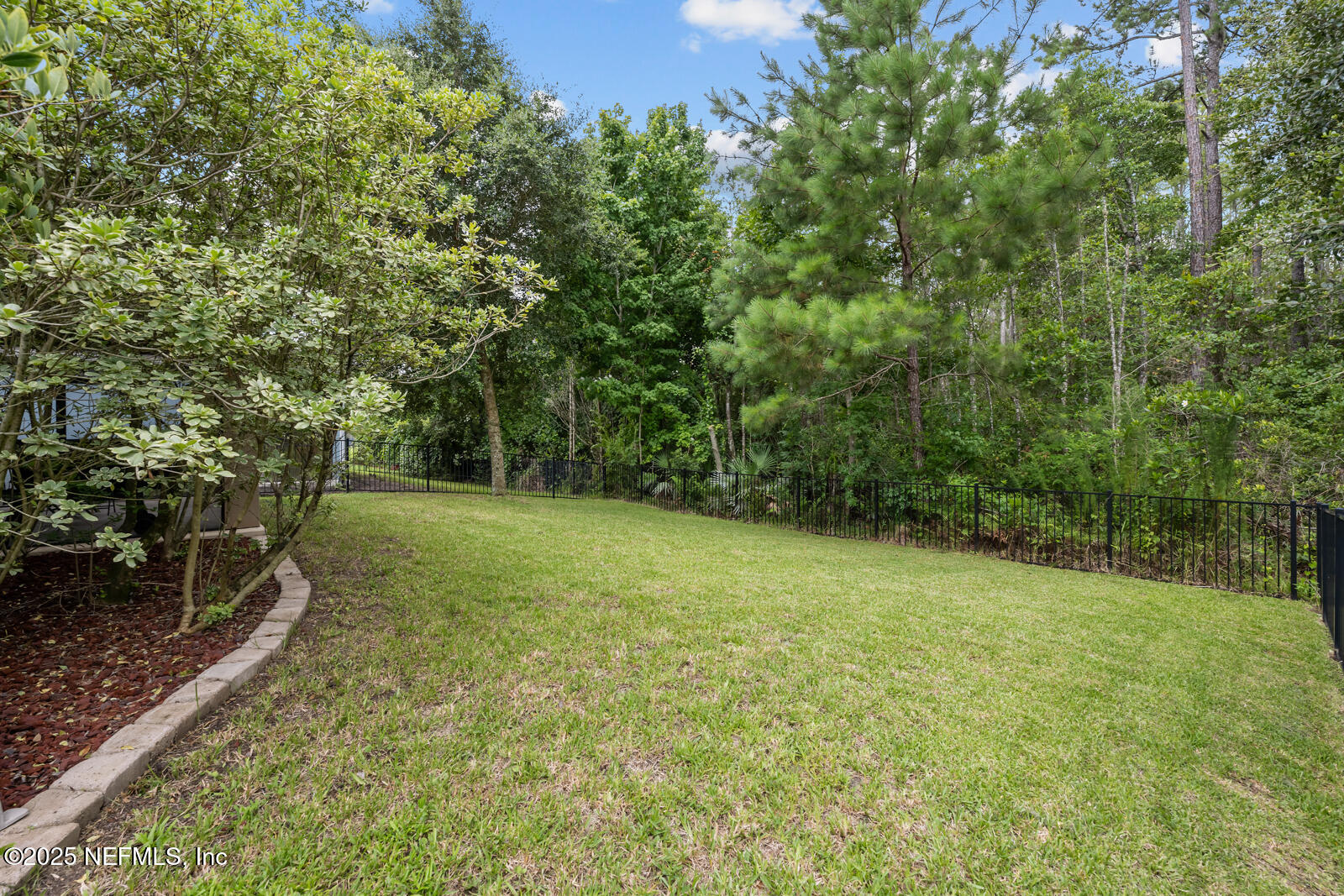56 GRAY WOLF Trail