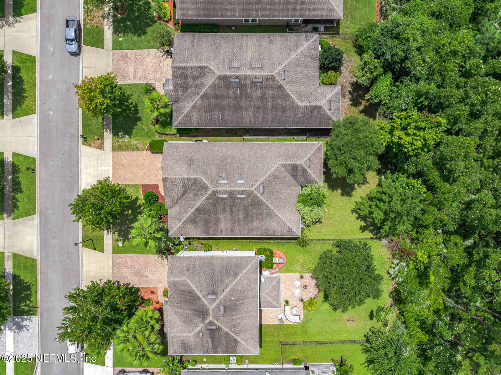56 GRAY WOLF Trail