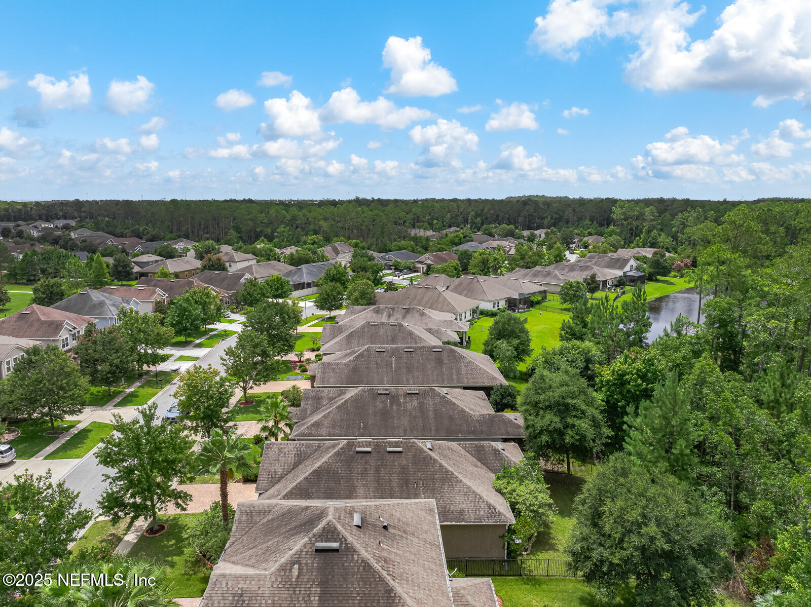 56 GRAY WOLF Trail