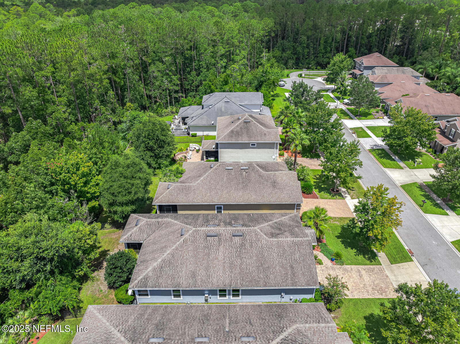 56 GRAY WOLF Trail