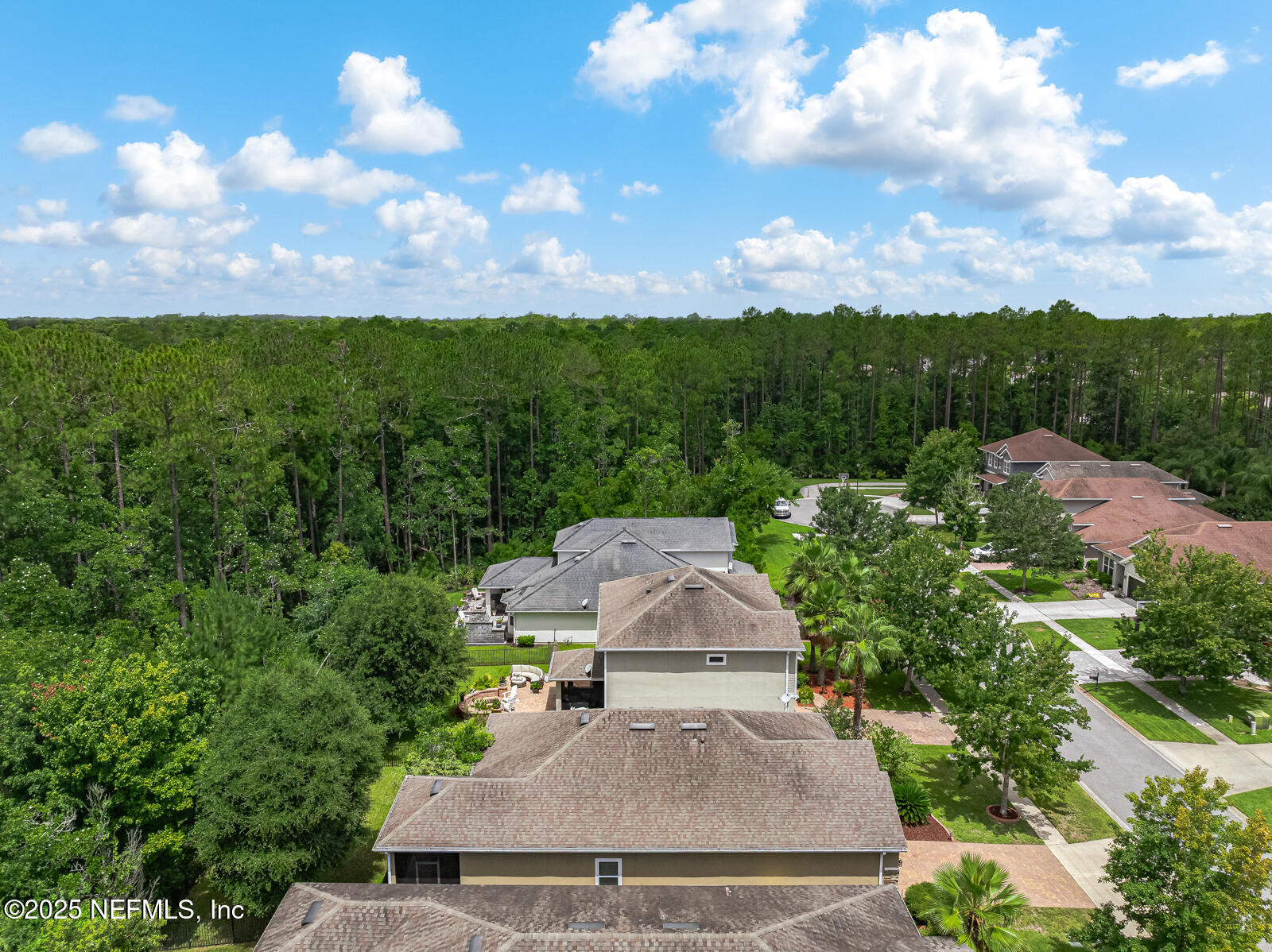 56 GRAY WOLF Trail