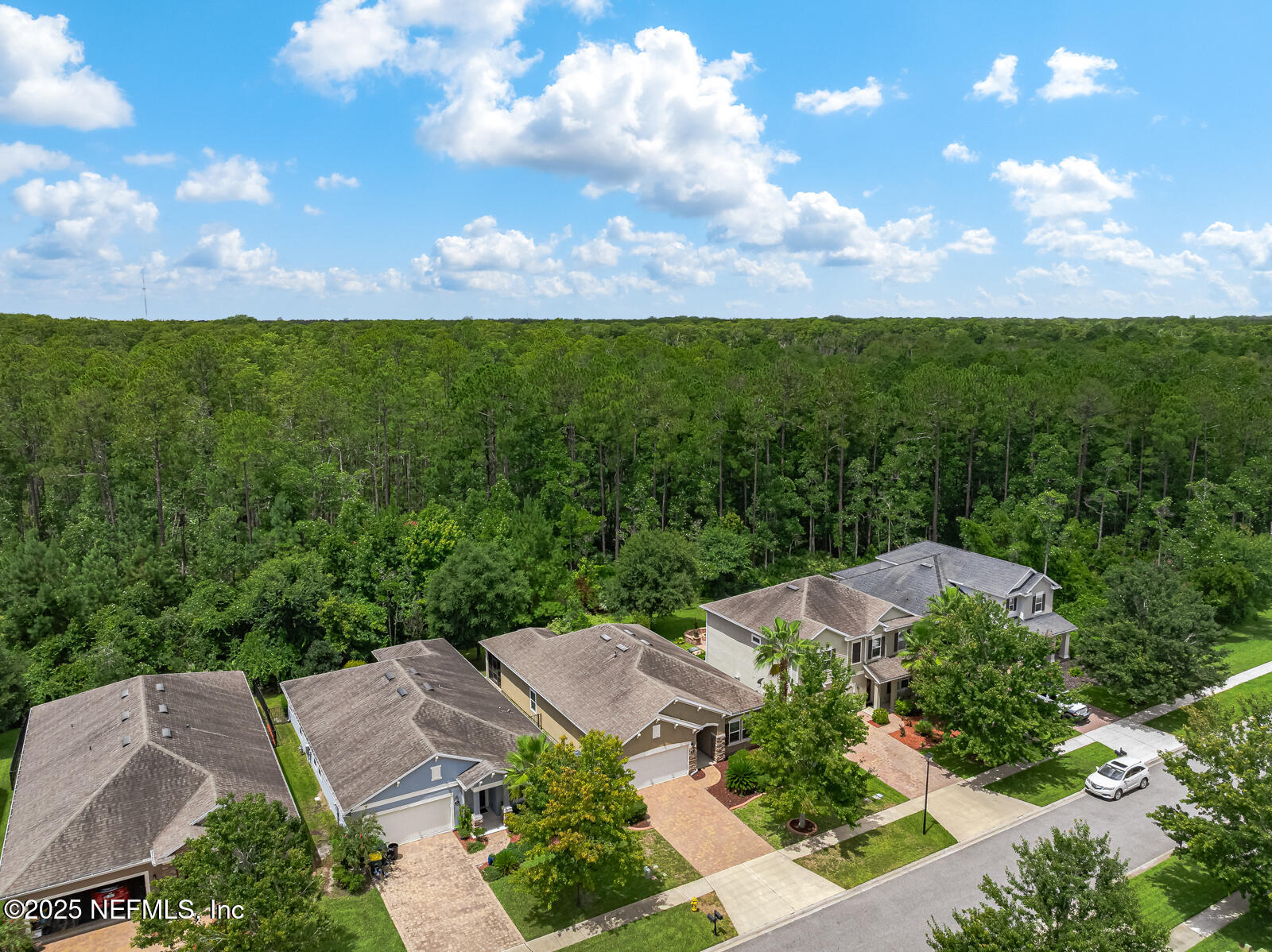 56 GRAY WOLF Trail