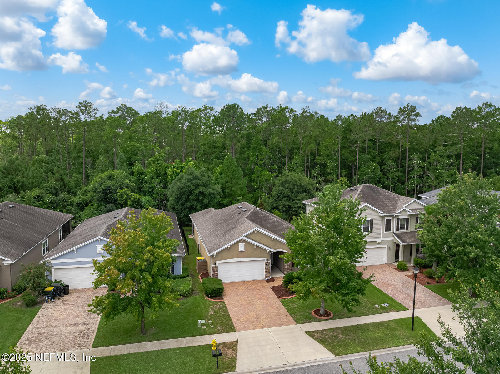 56 GRAY WOLF Trail