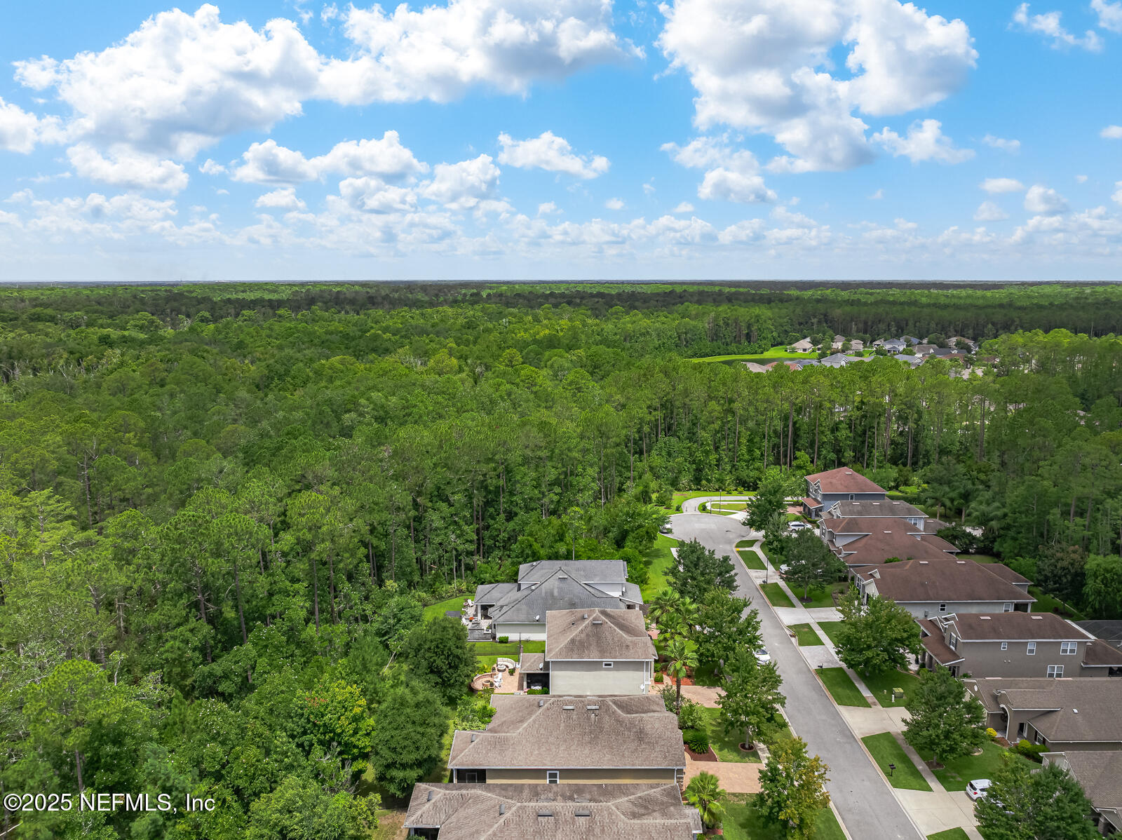 56 GRAY WOLF Trail