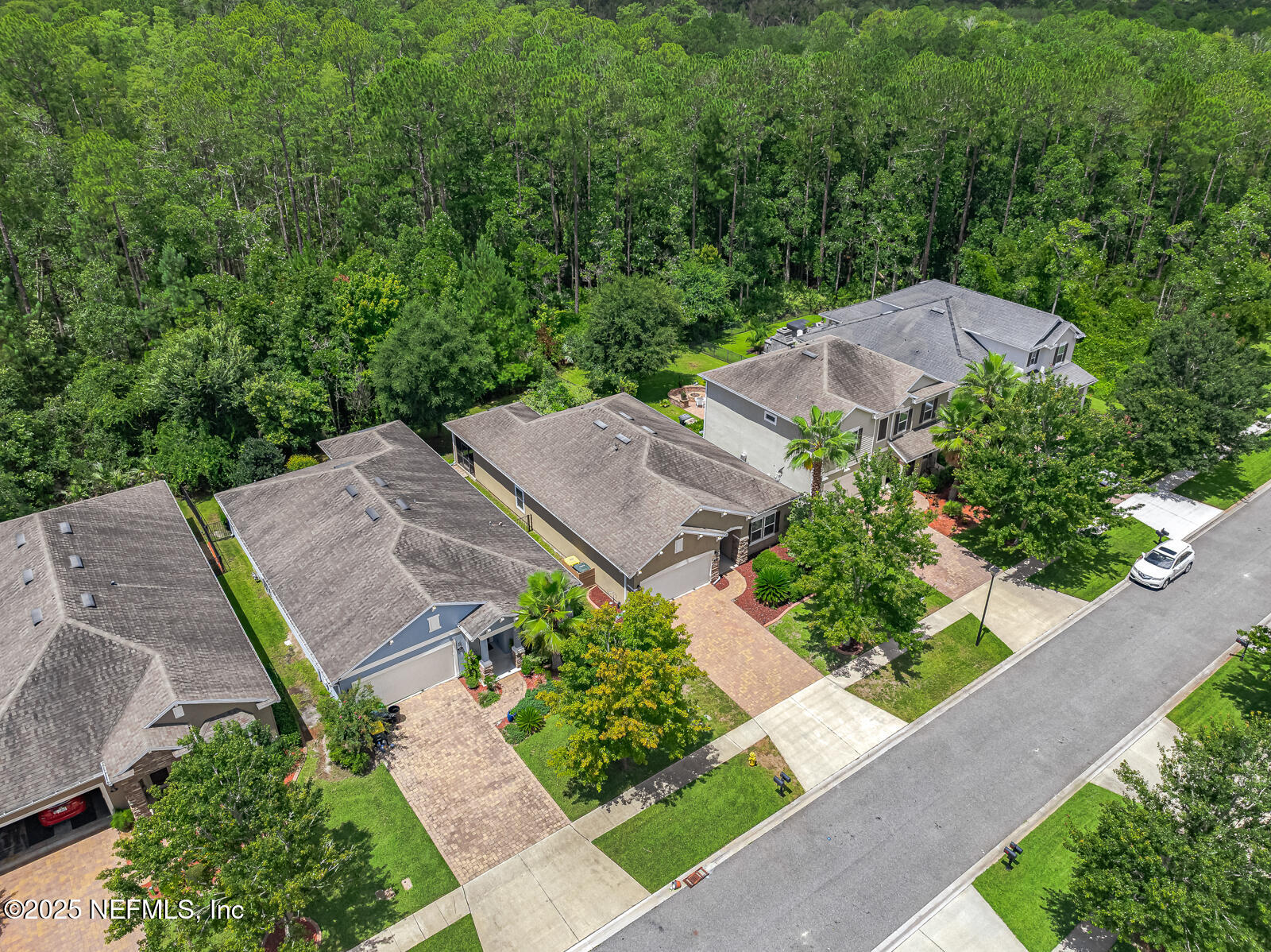 56 GRAY WOLF Trail