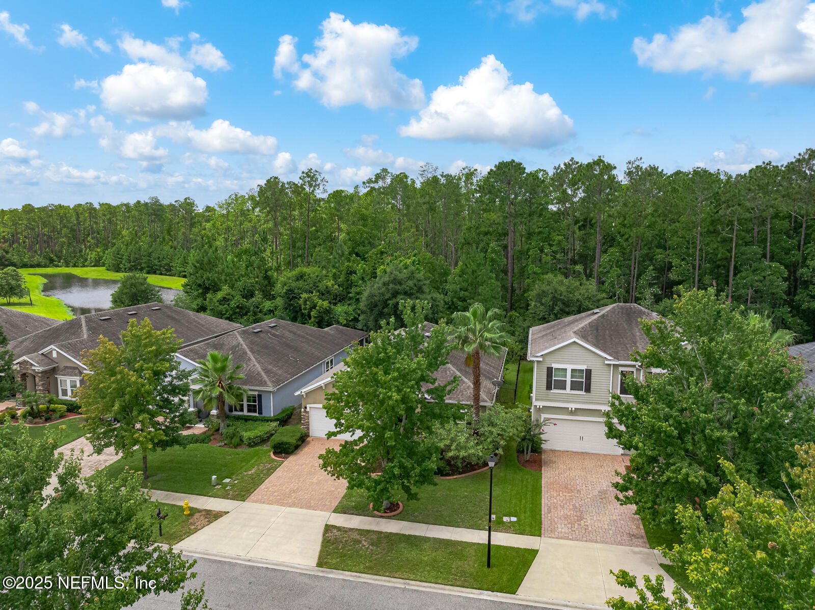56 GRAY WOLF Trail