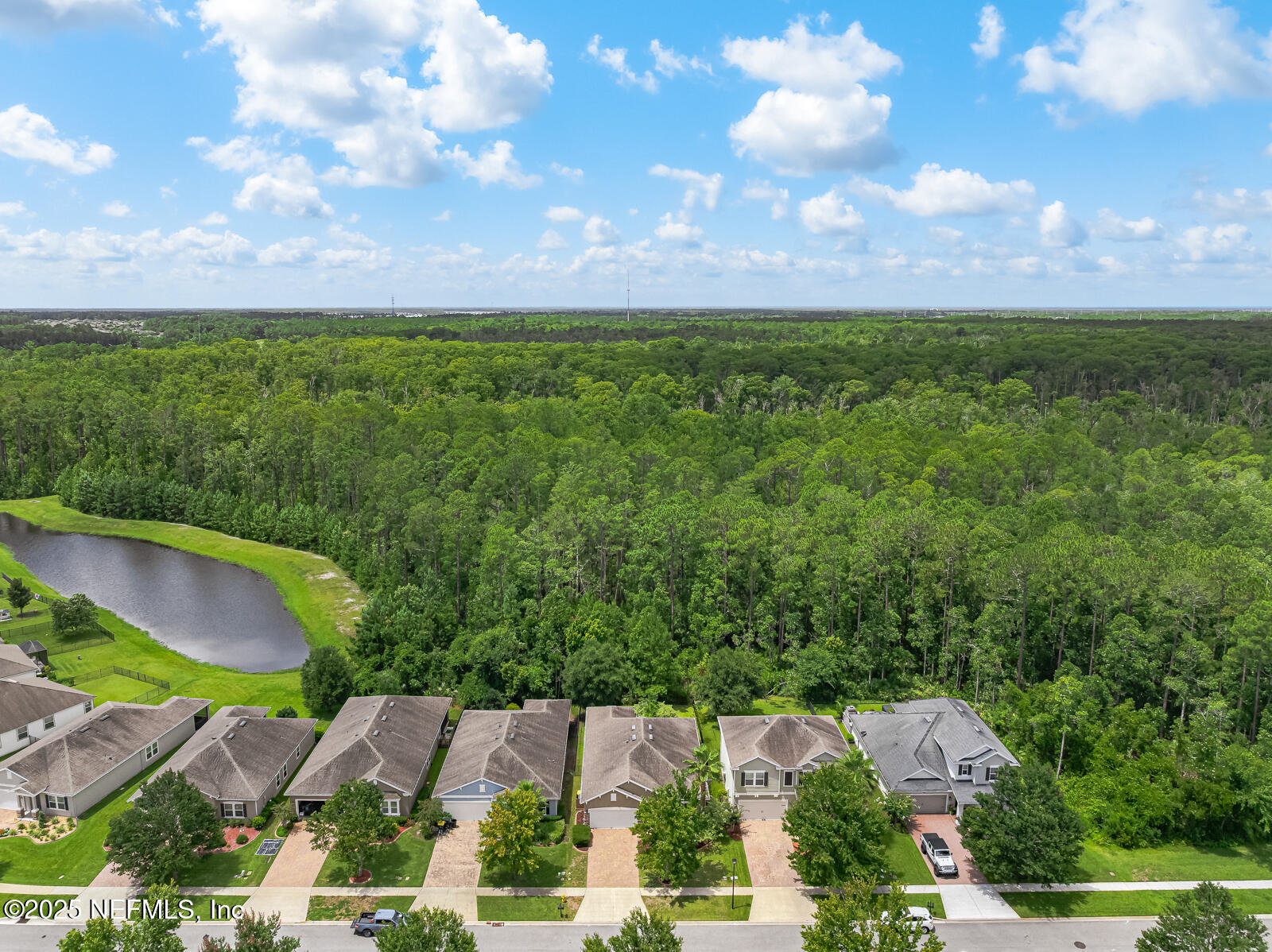 56 GRAY WOLF Trail