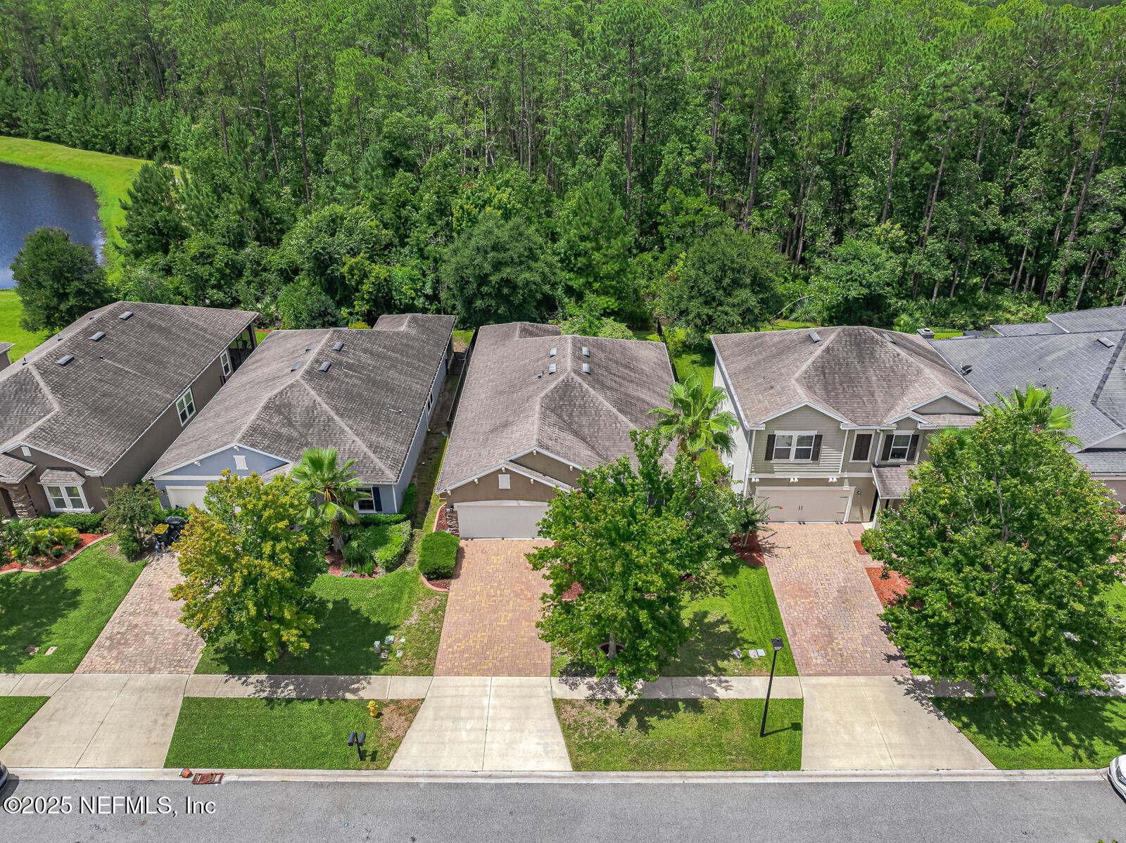56 GRAY WOLF Trail