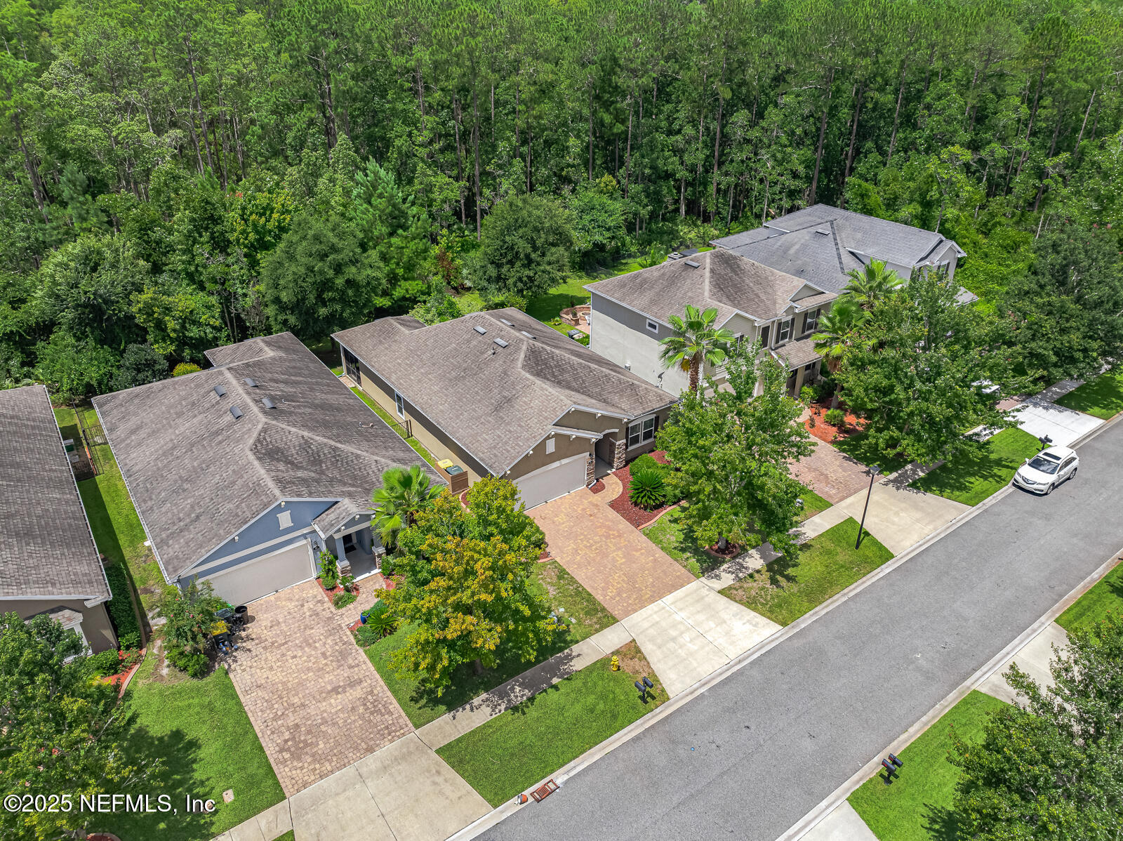56 GRAY WOLF Trail