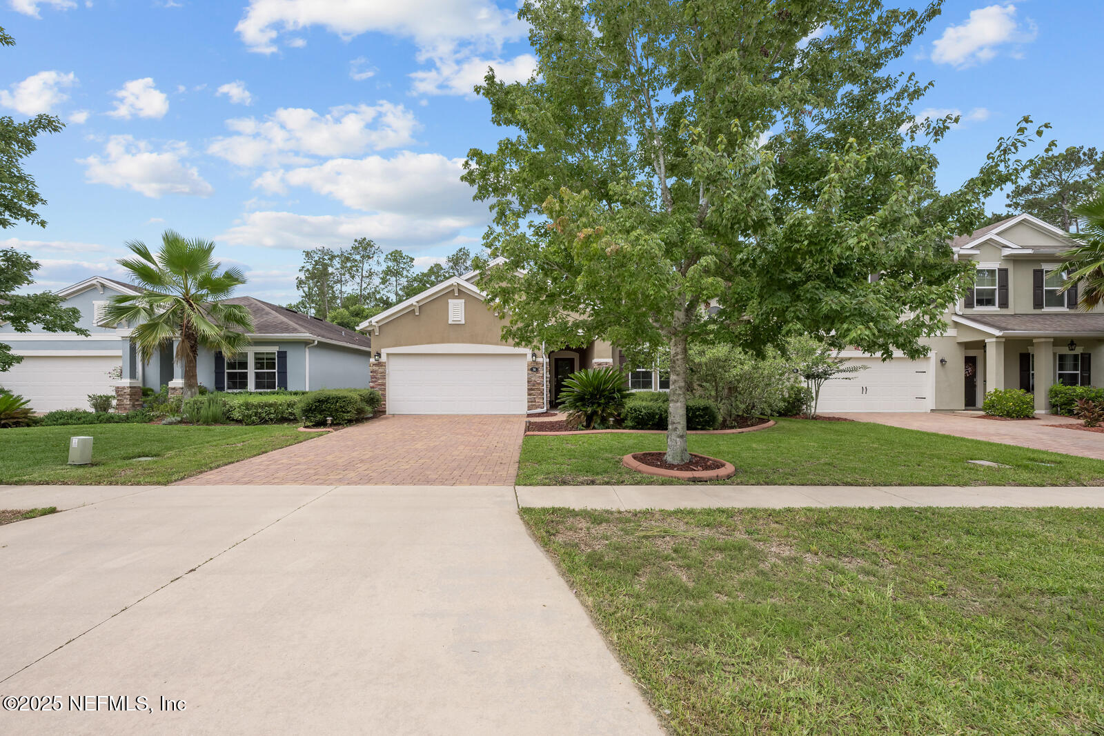 56 GRAY WOLF Trail