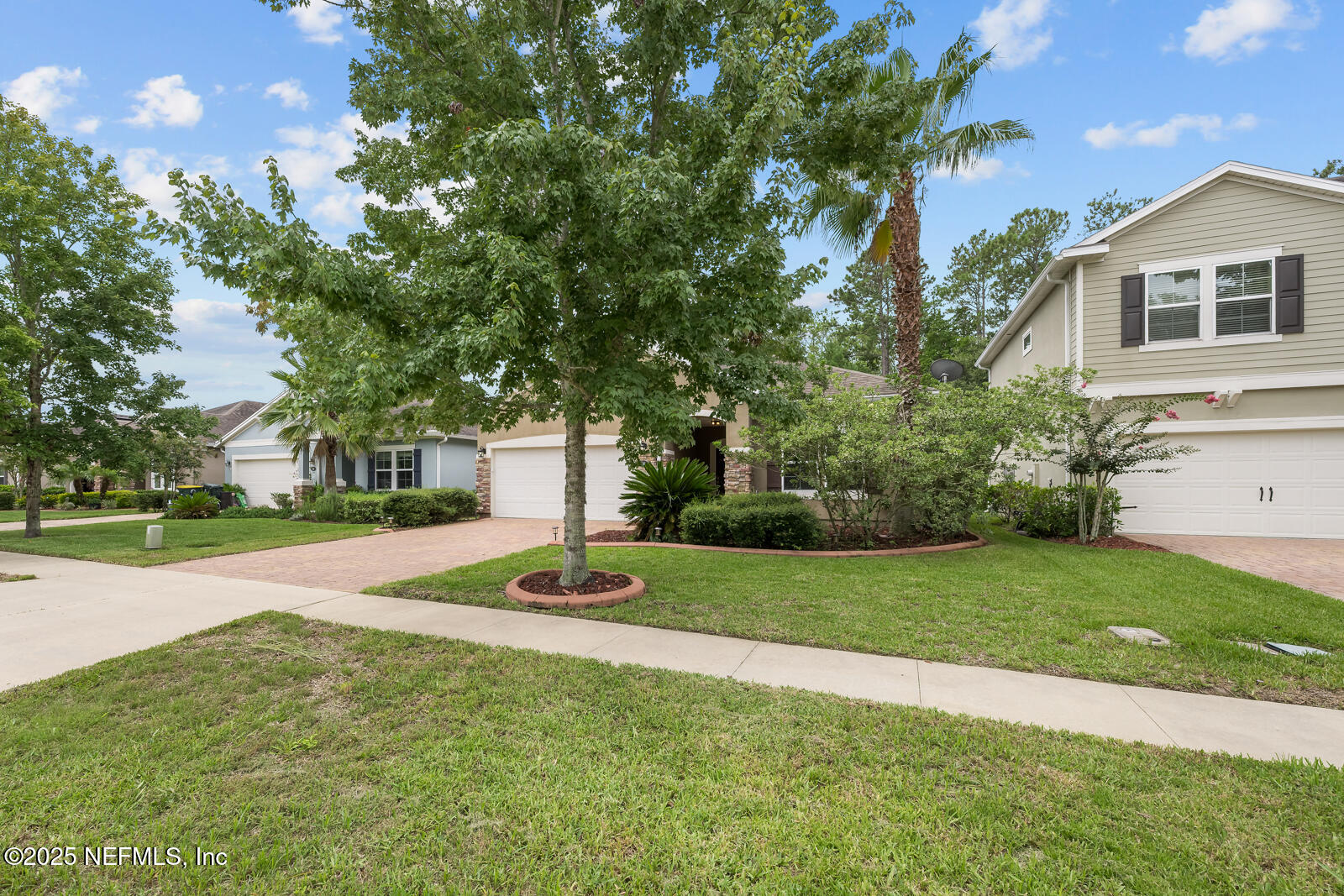 56 GRAY WOLF Trail