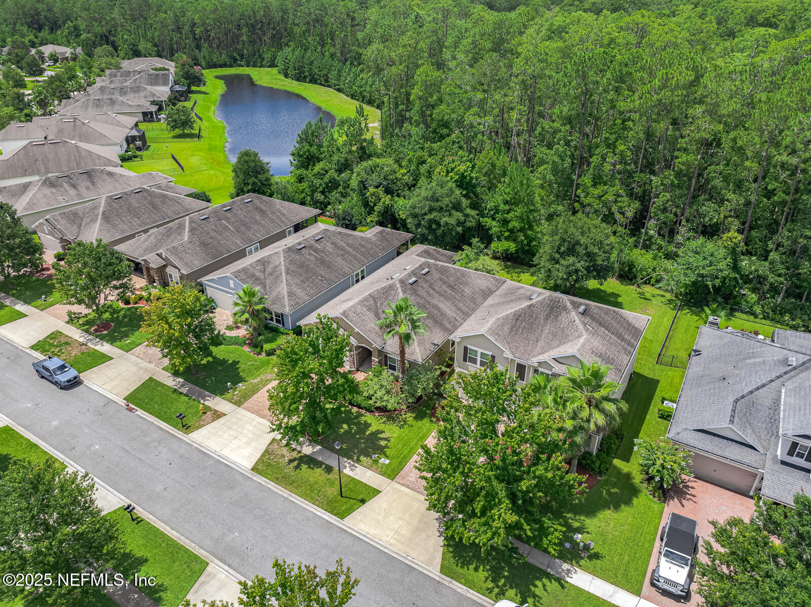 56 GRAY WOLF Trail