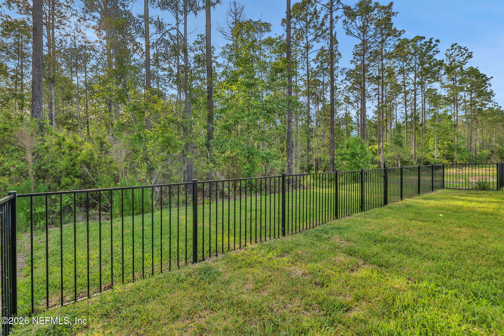 431 Caiden Drive