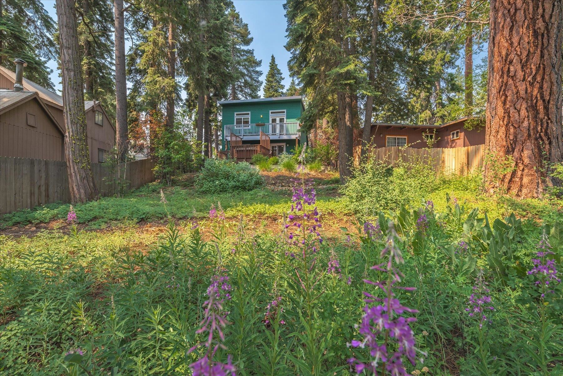 310 Jackpine Street