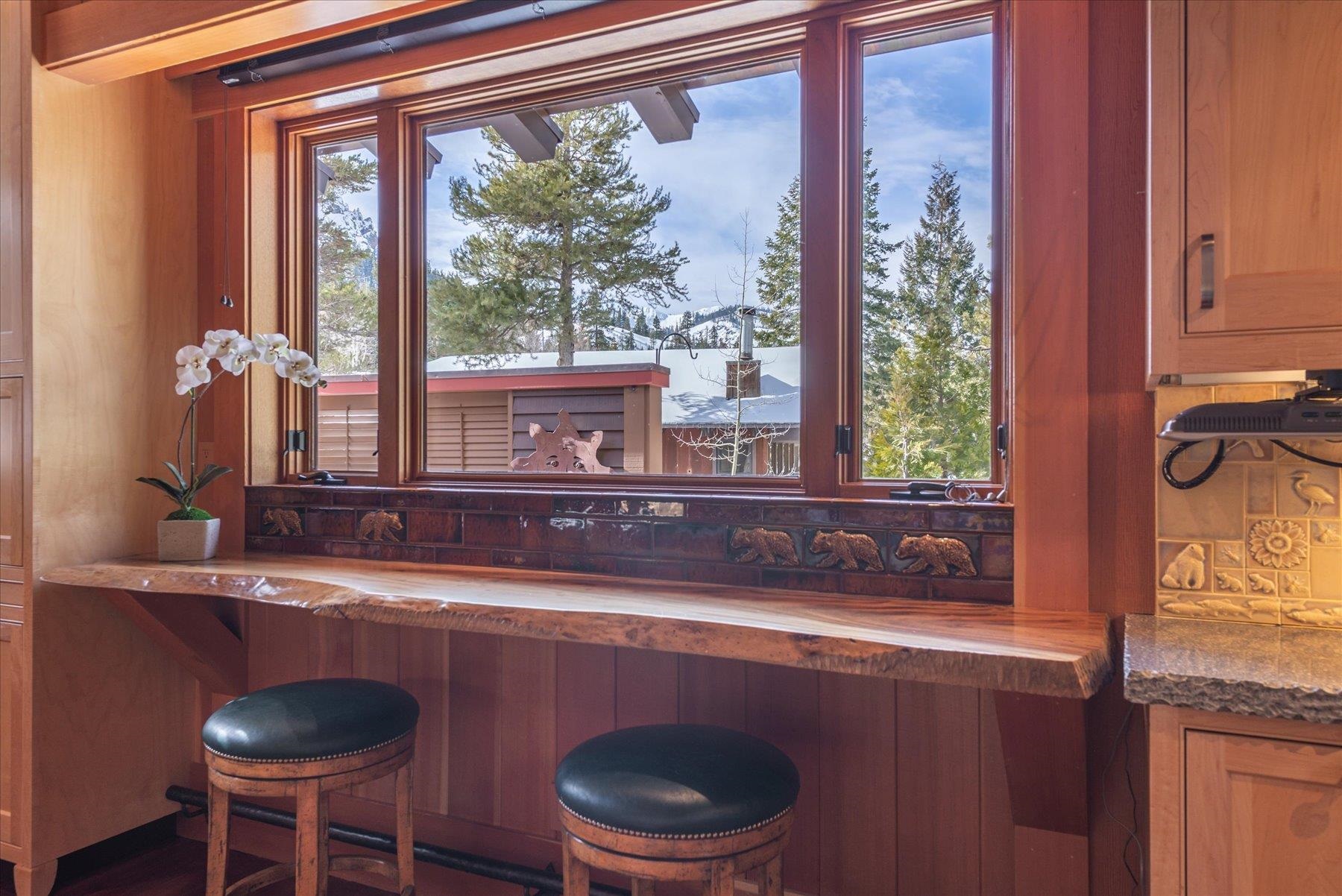 1258 Mineral Springs Trail