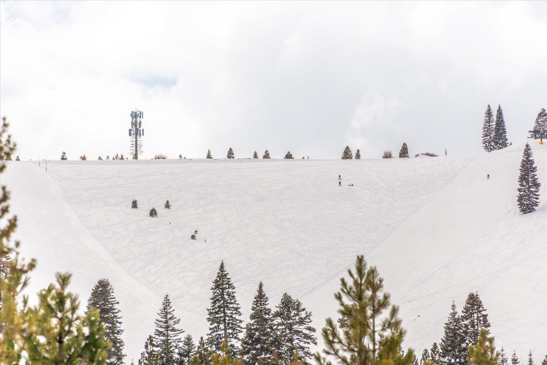 12358 Snowpeak Way