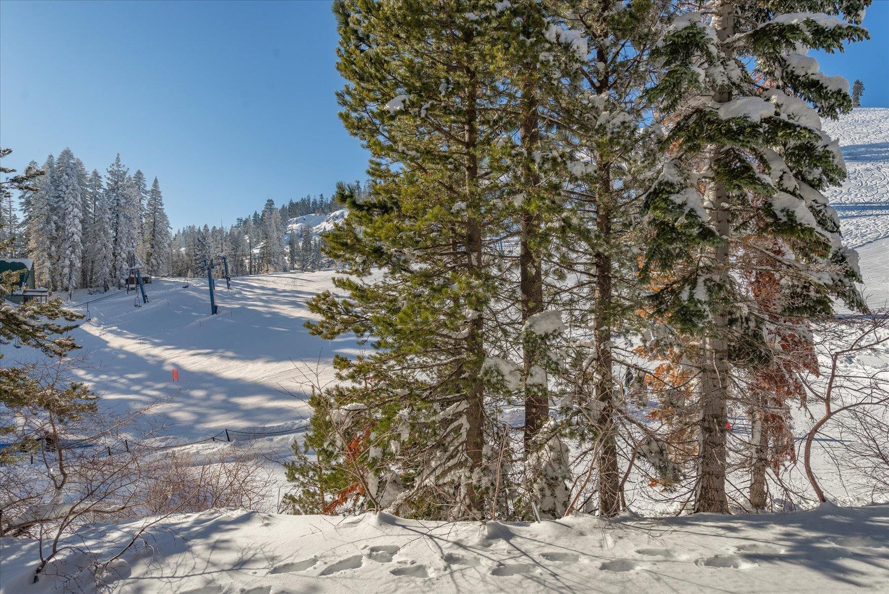 10150 Ski Ranch Road Unit: 210