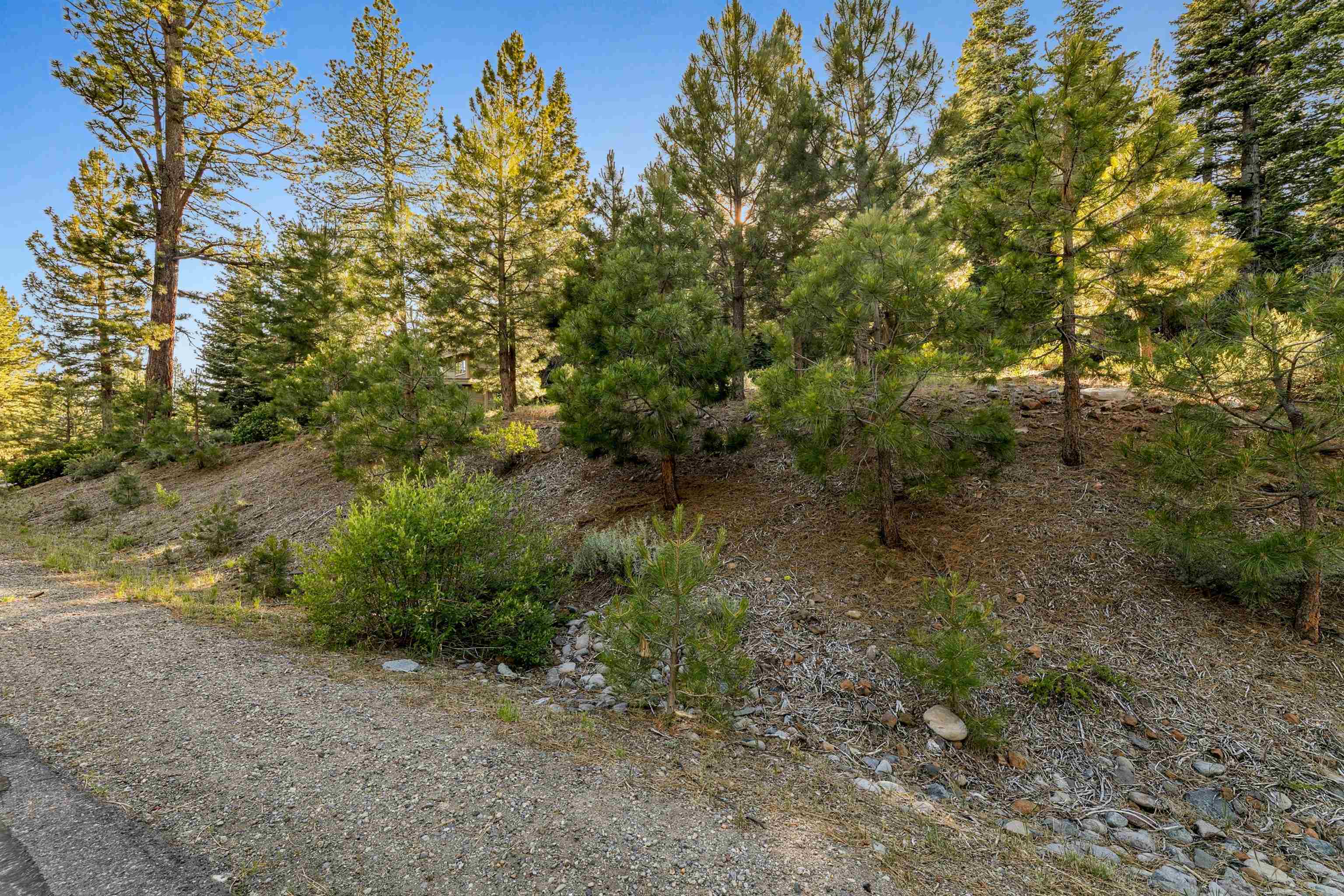 11918 Saddleback Drive