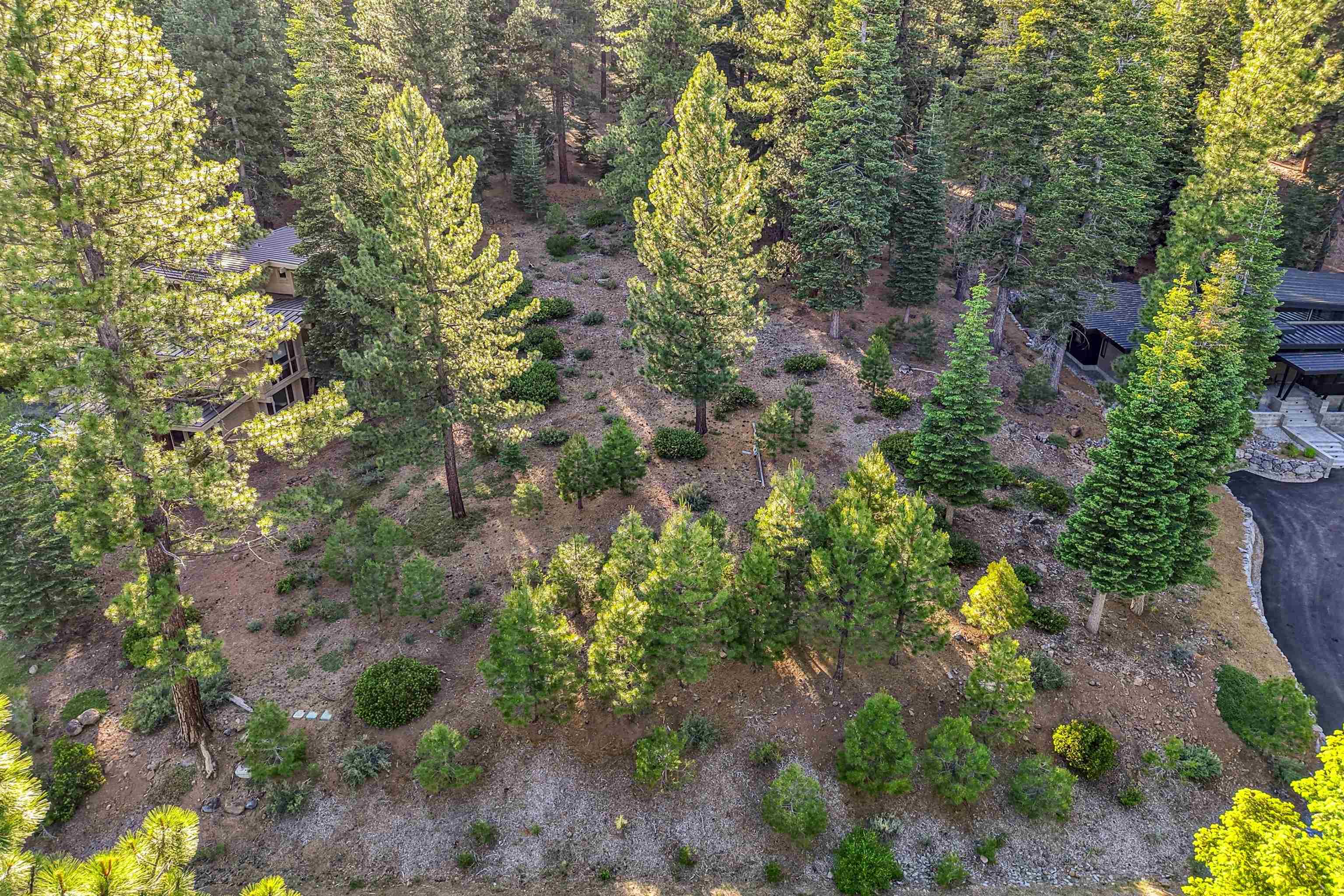 11918 Saddleback Drive