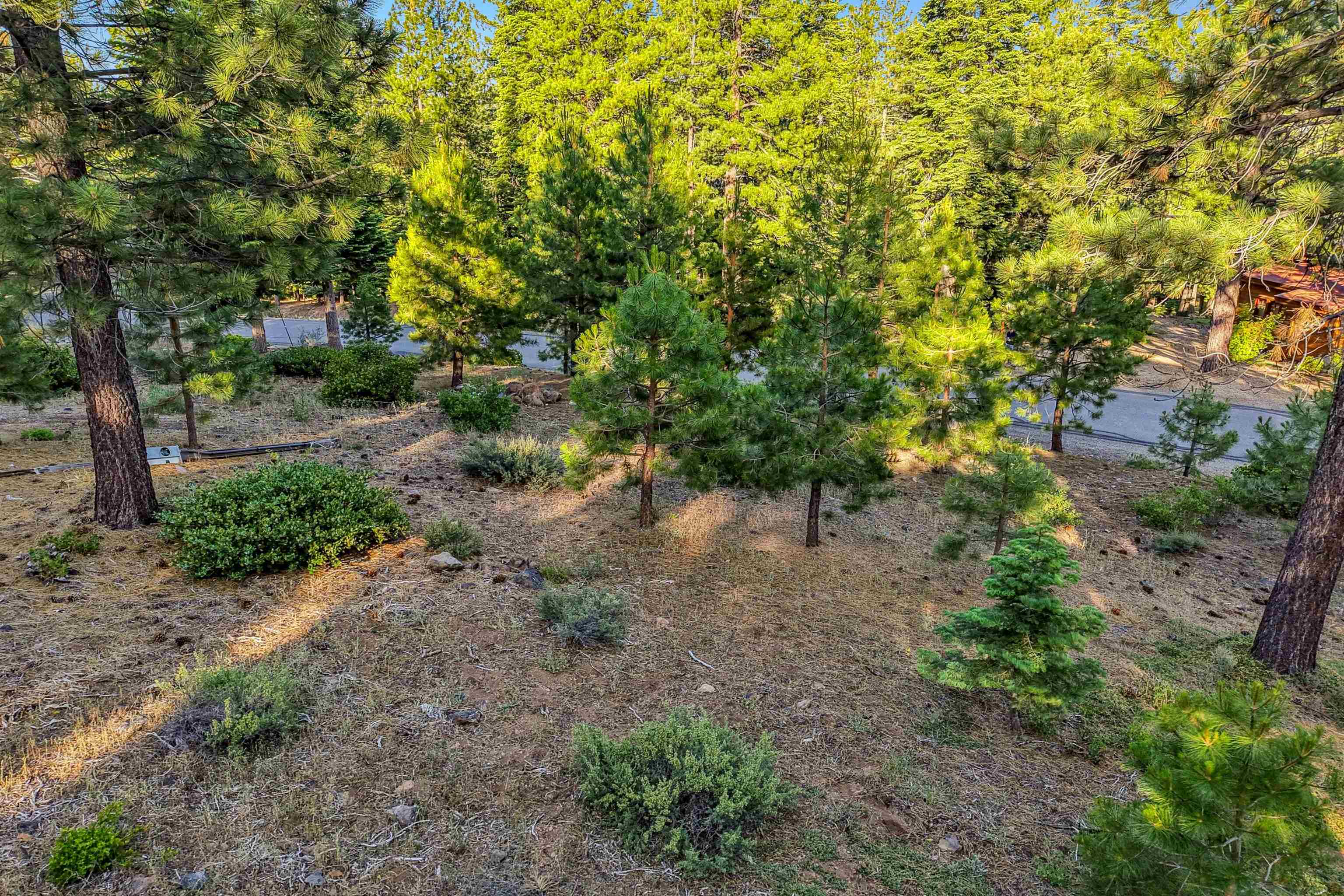 11918 Saddleback Drive