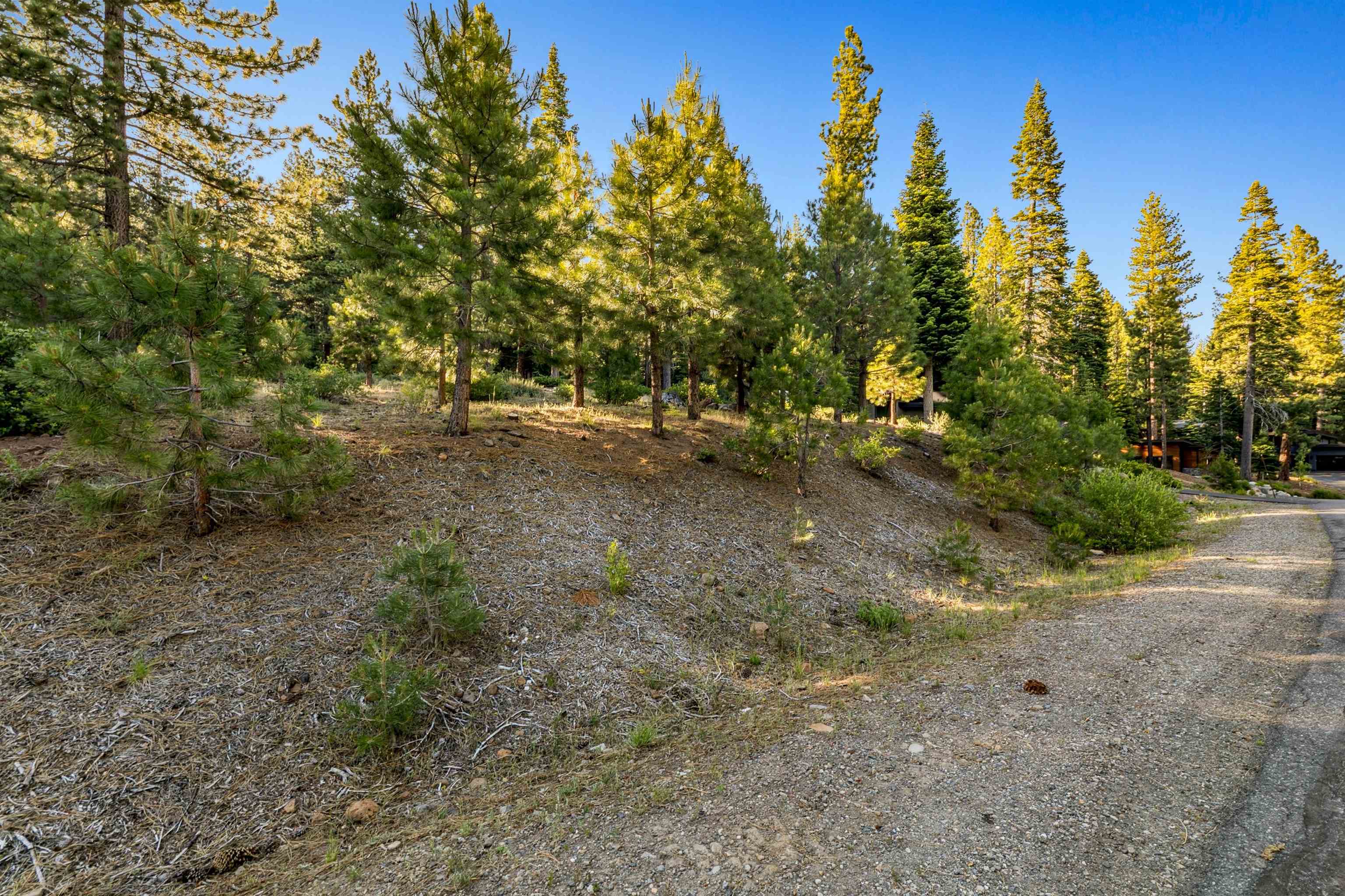 11918 Saddleback Drive