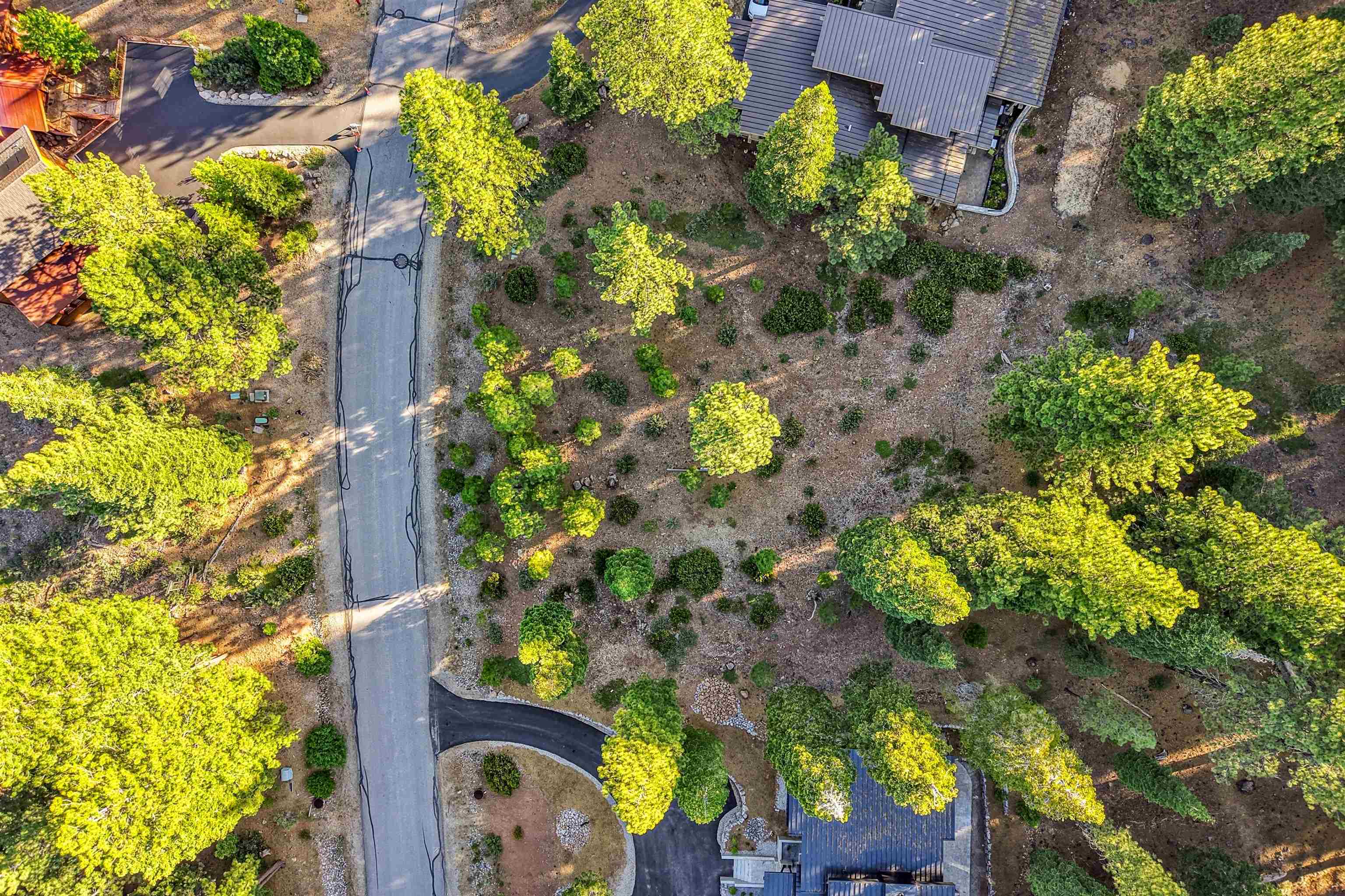 11918 Saddleback Drive