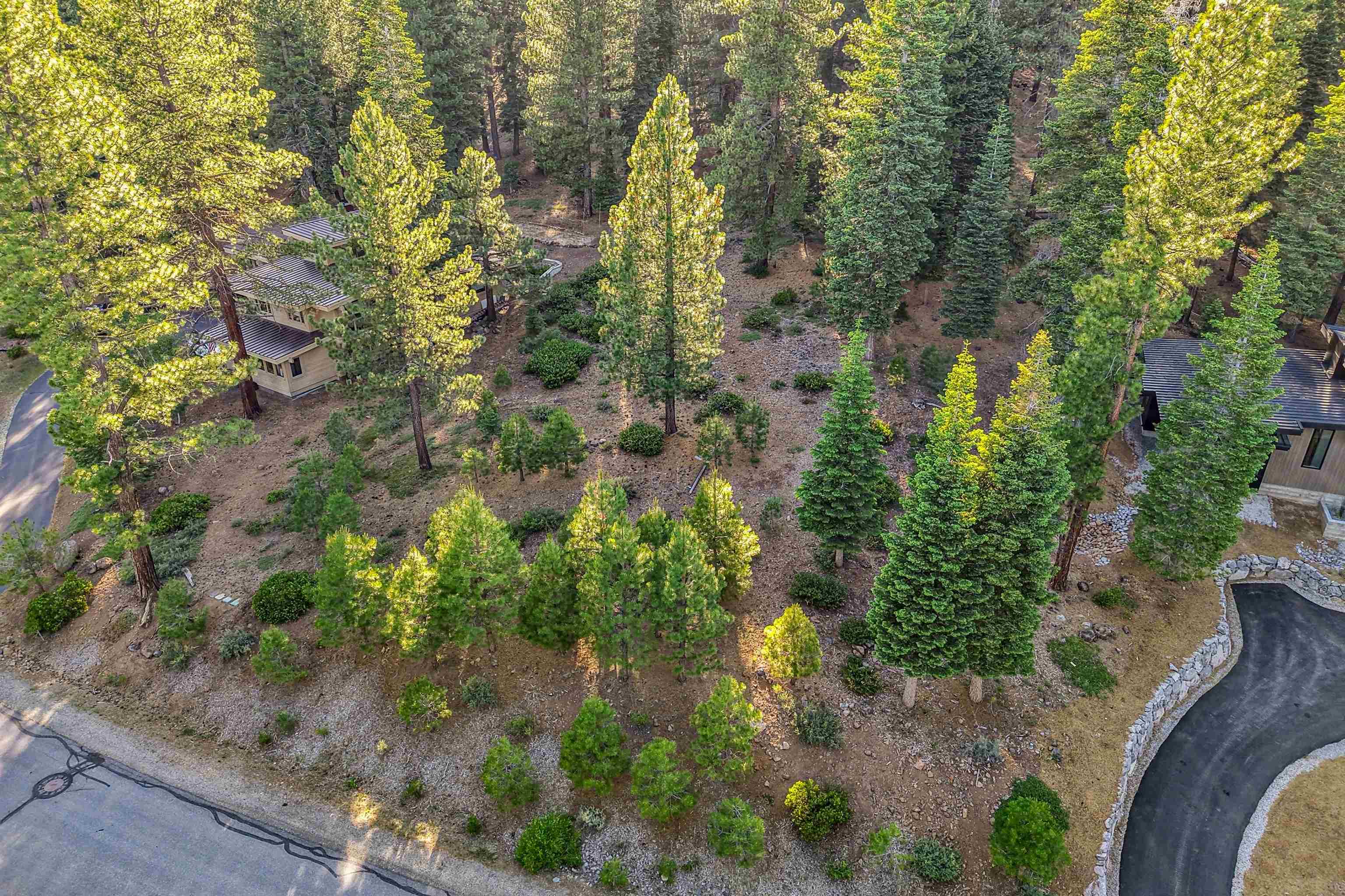 11918 Saddleback Drive