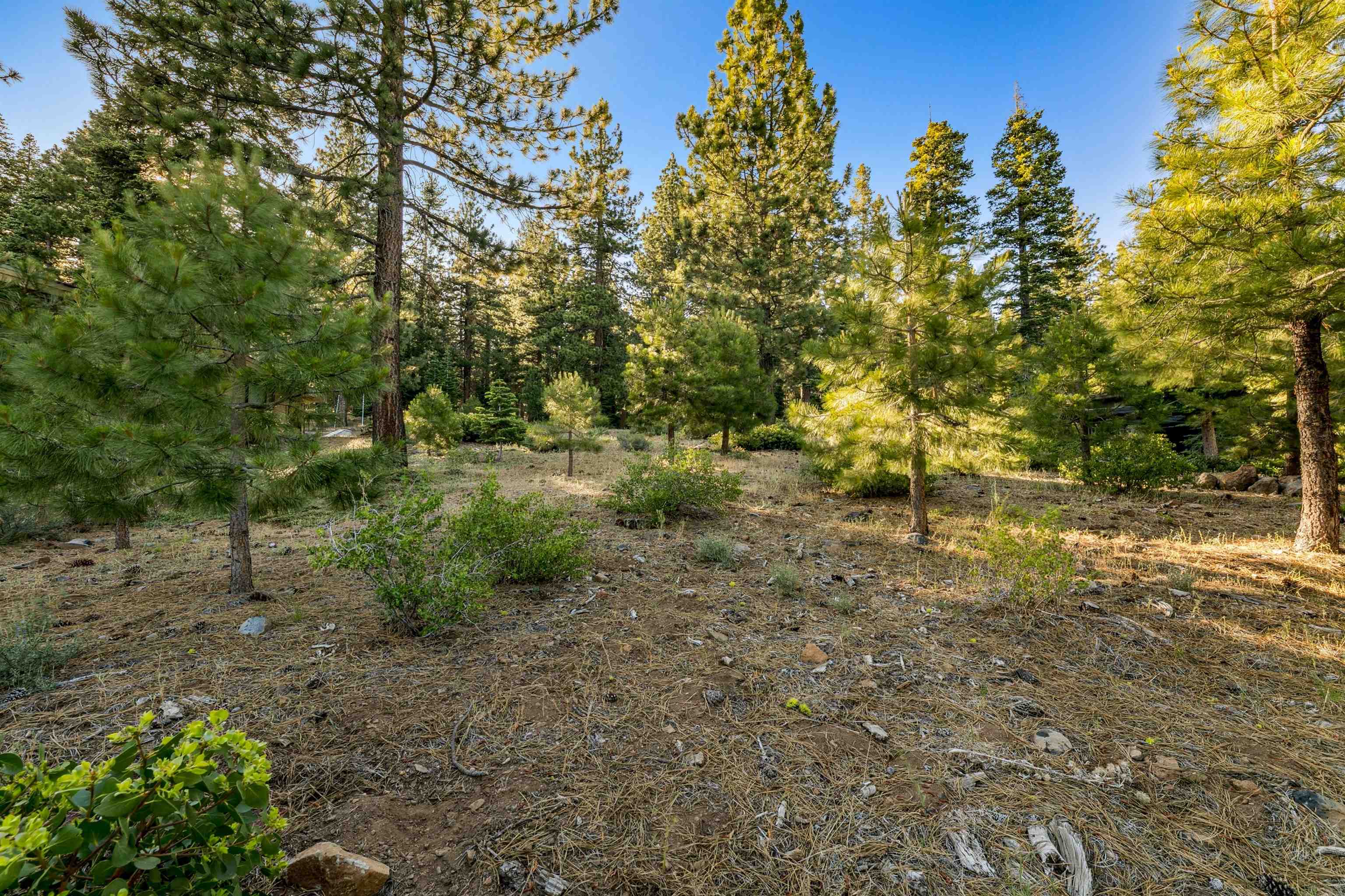 11918 Saddleback Drive