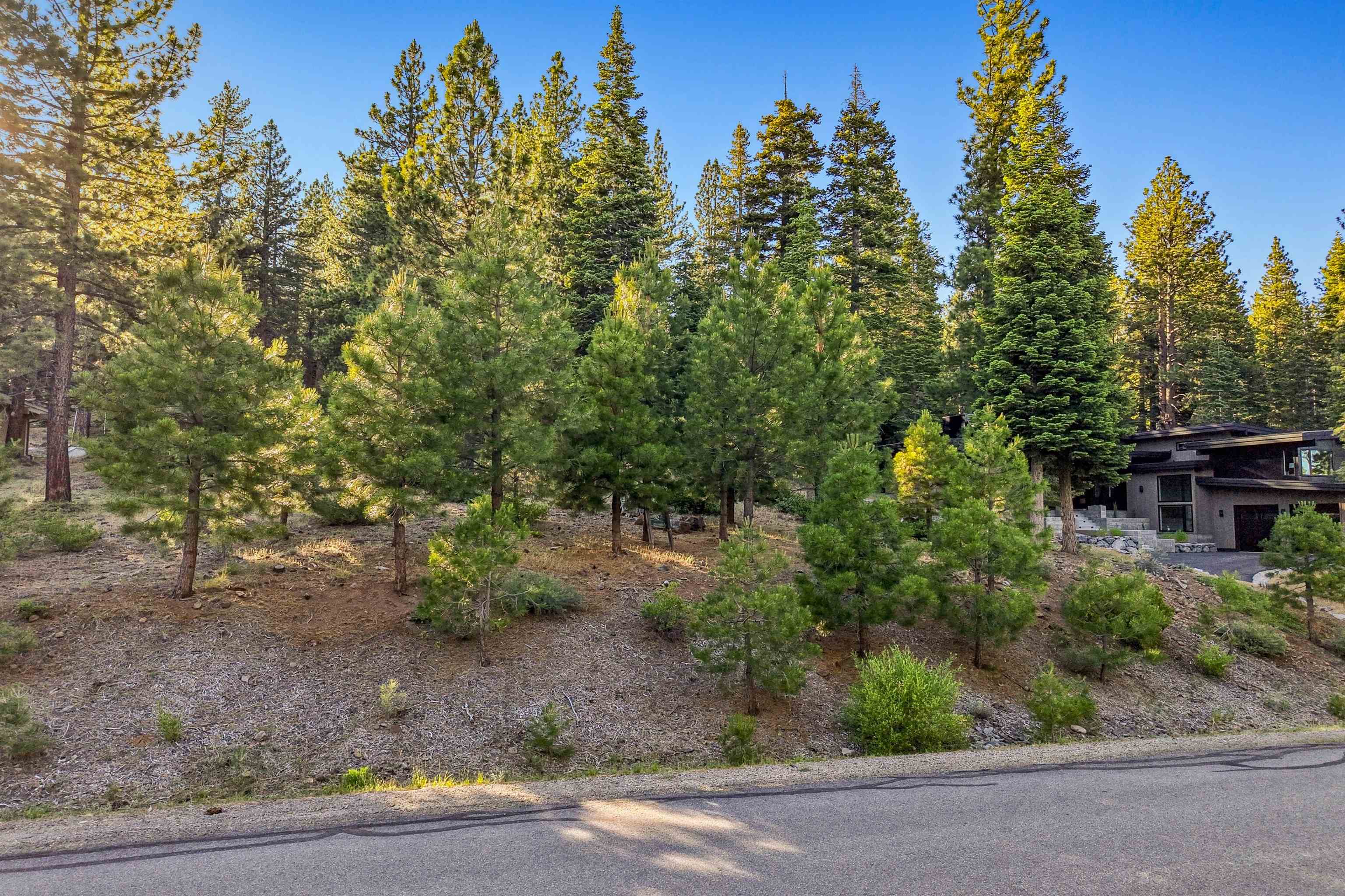 11918 Saddleback Drive