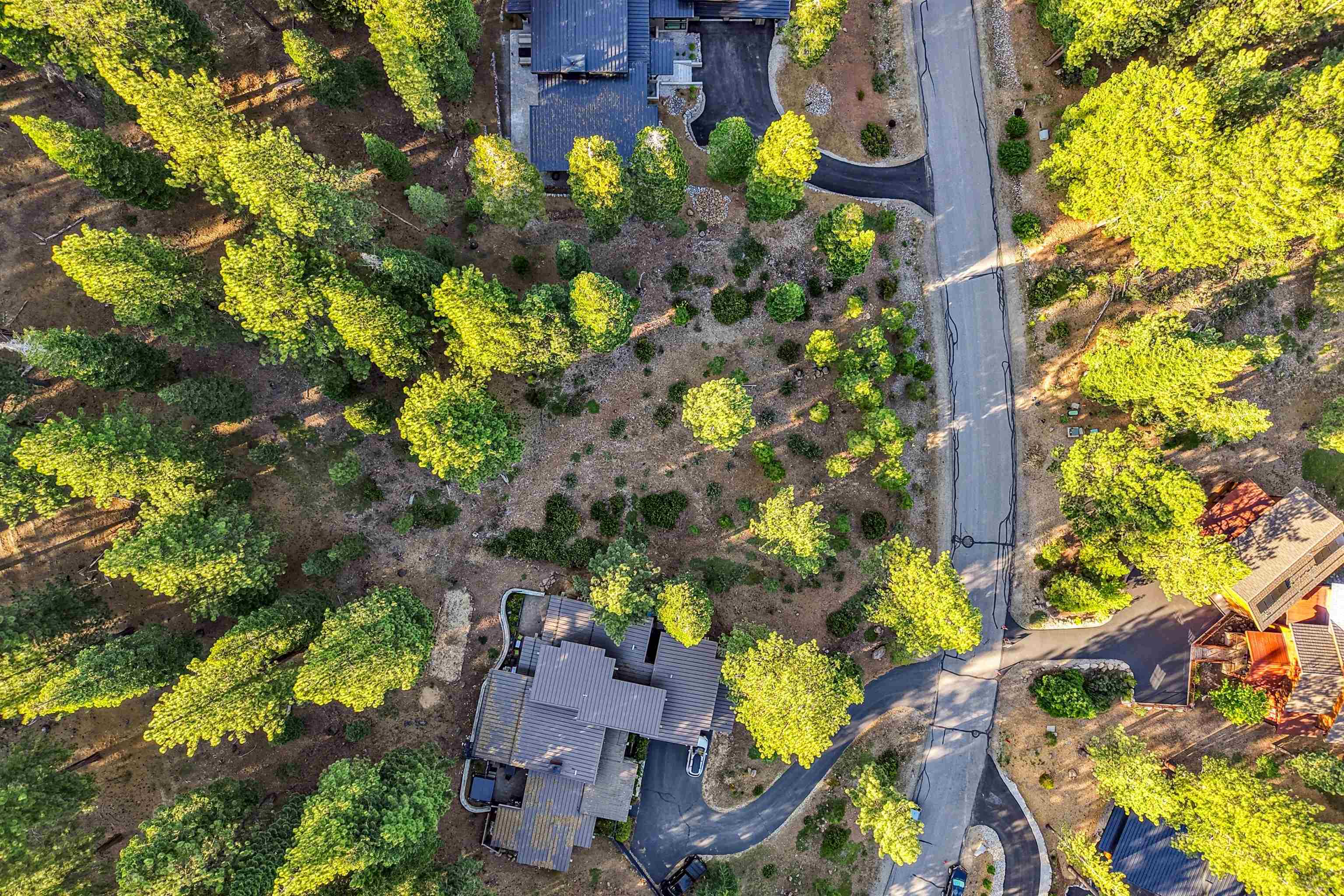 11918 Saddleback Drive