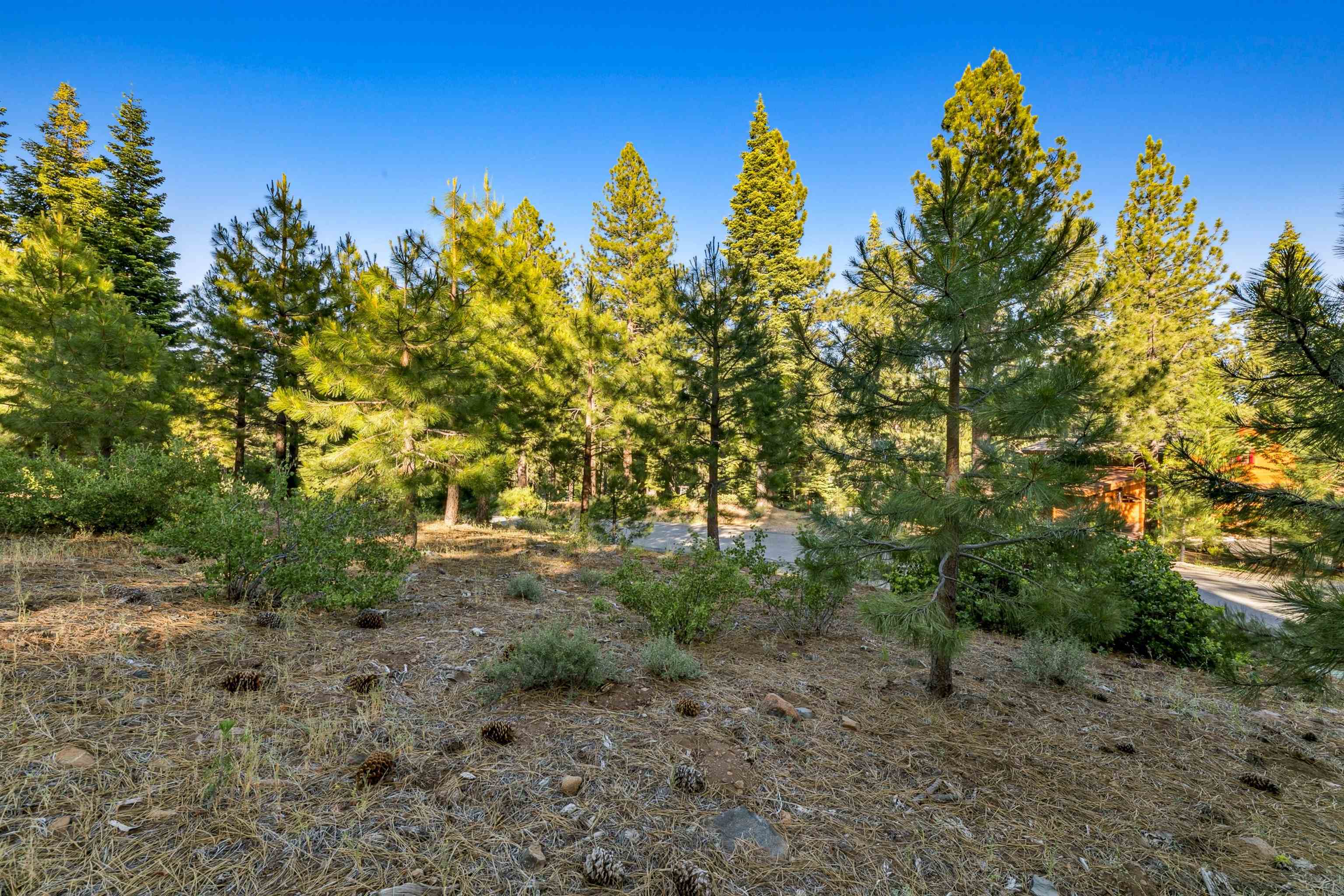 11918 Saddleback Drive