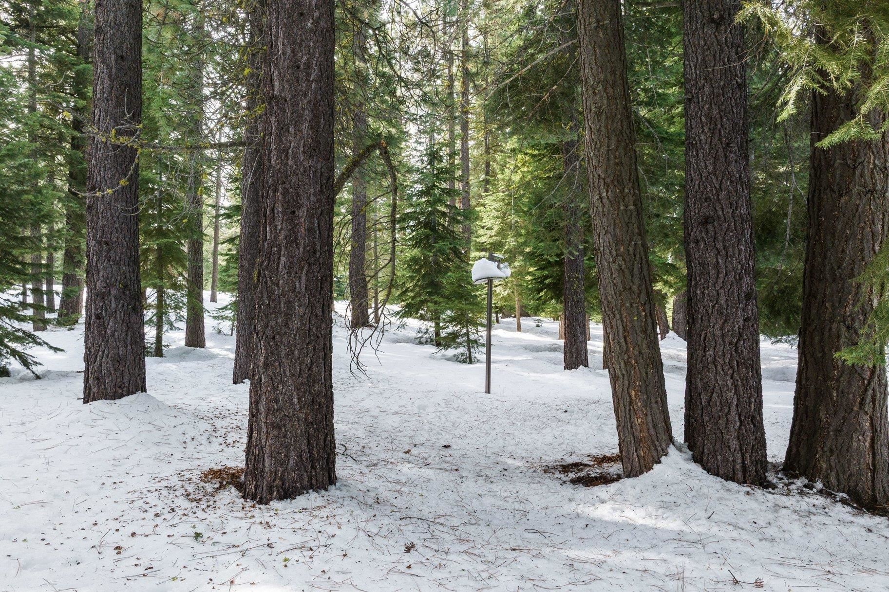 11909 Bavarian Way Unit: 8